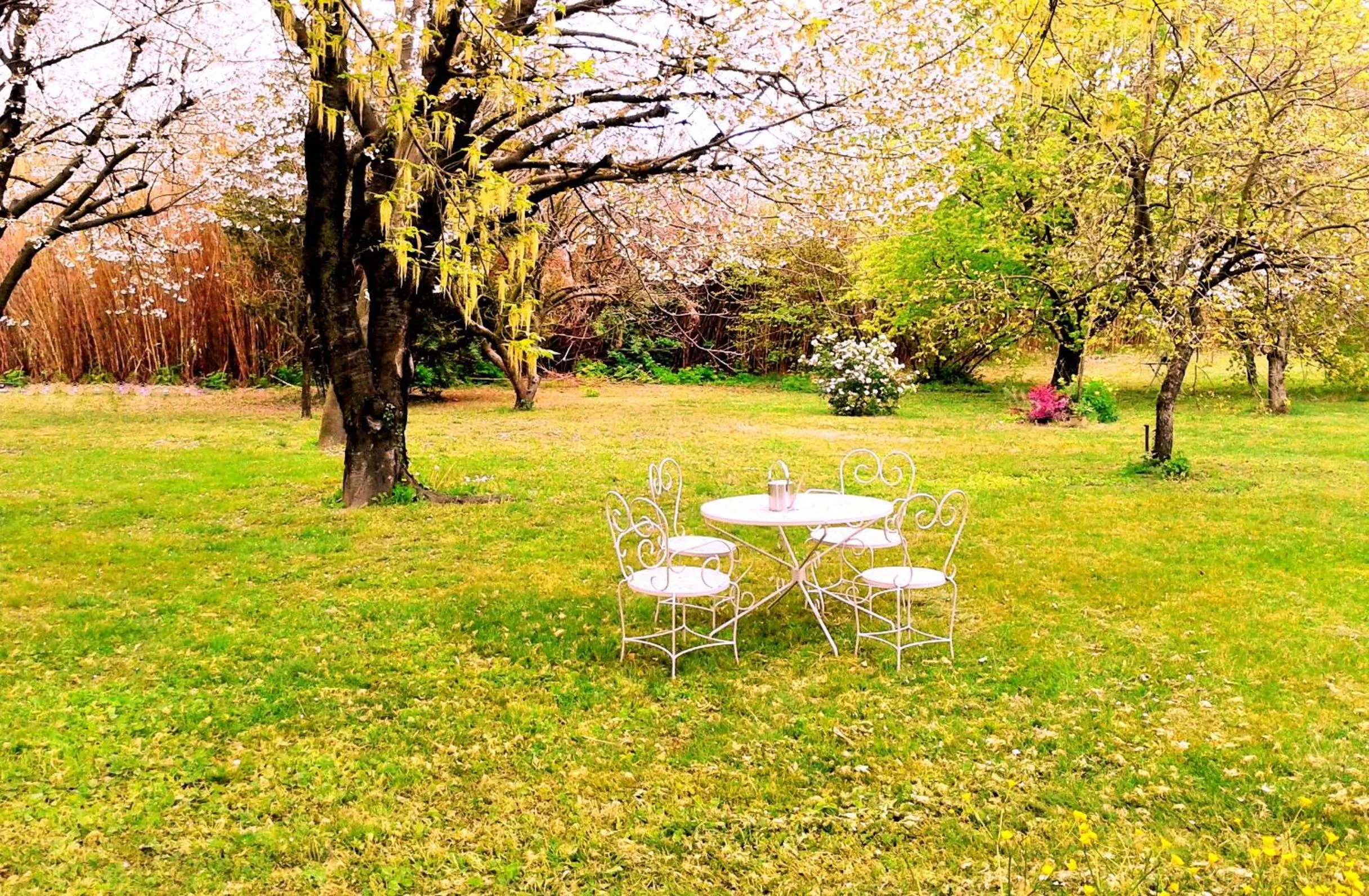 Spring in les trésors de malle mialle