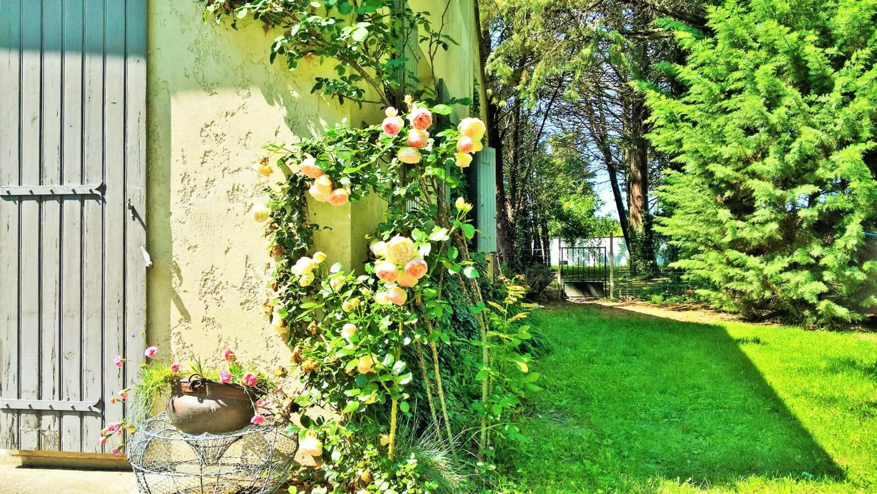 Garden in les trésors de malle mialle