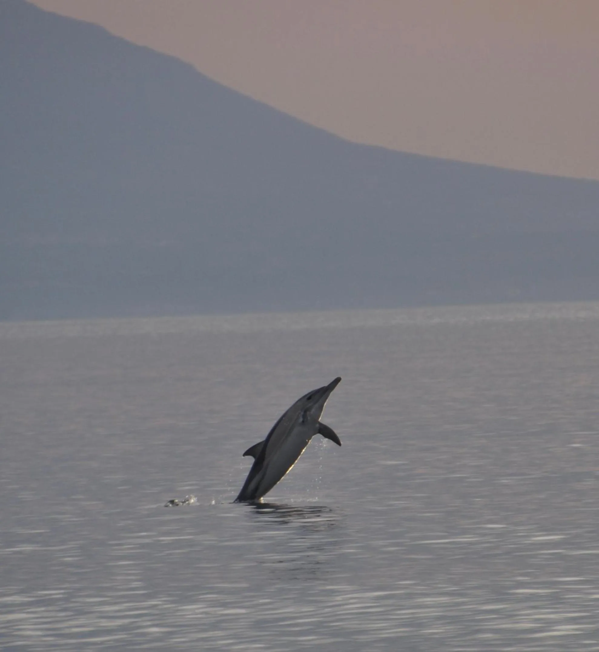 Sea view in Pension Delfini