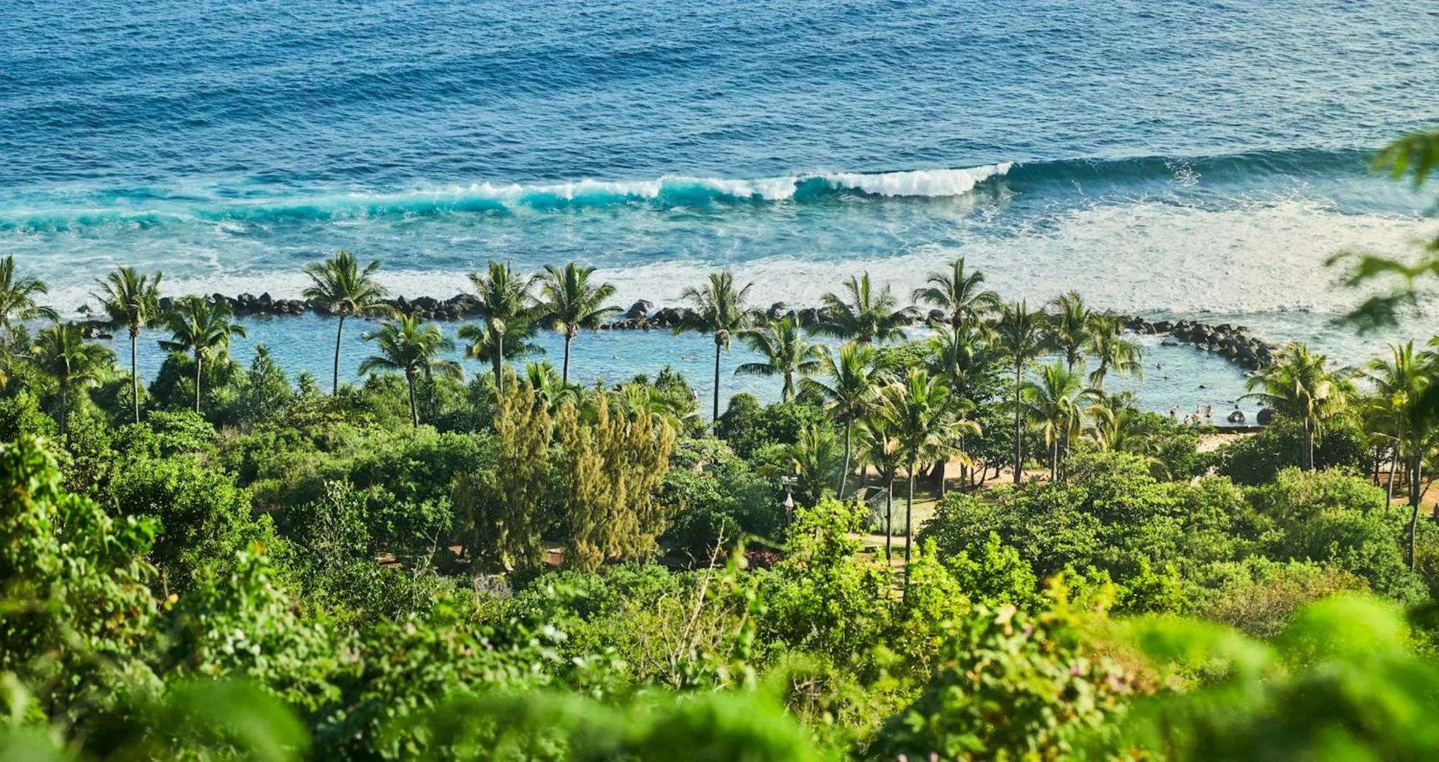 Natural landscape in Palm Hotel & Spa