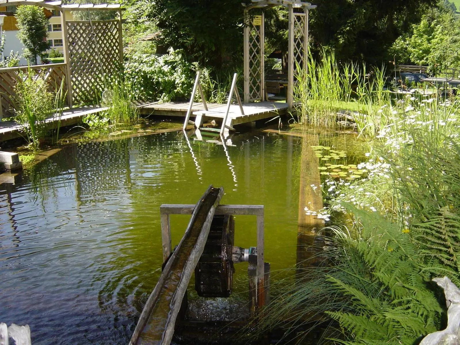 Activities in Pension & Appartement Steinwender