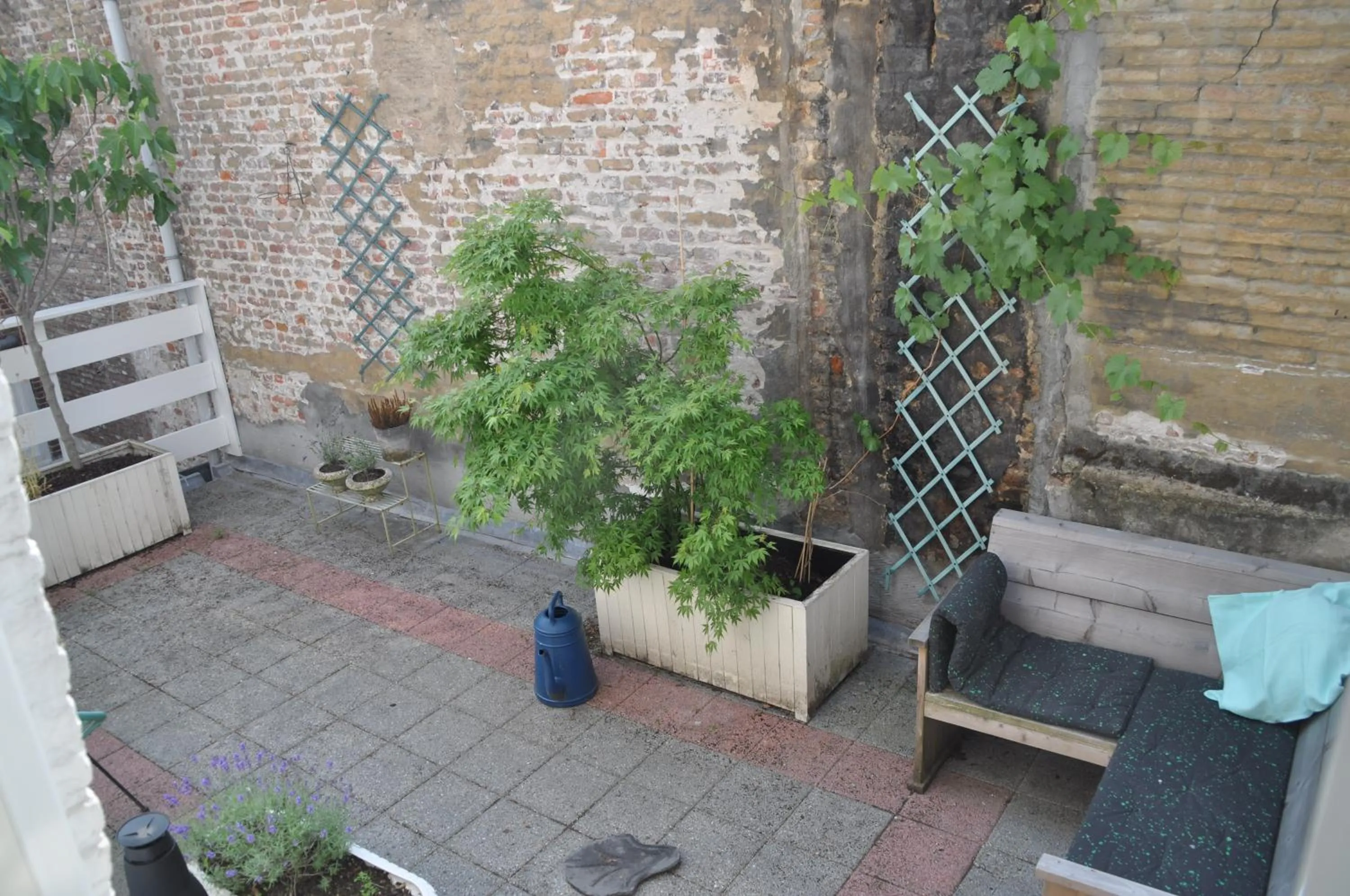 Balcony/Terrace in De Theetap
