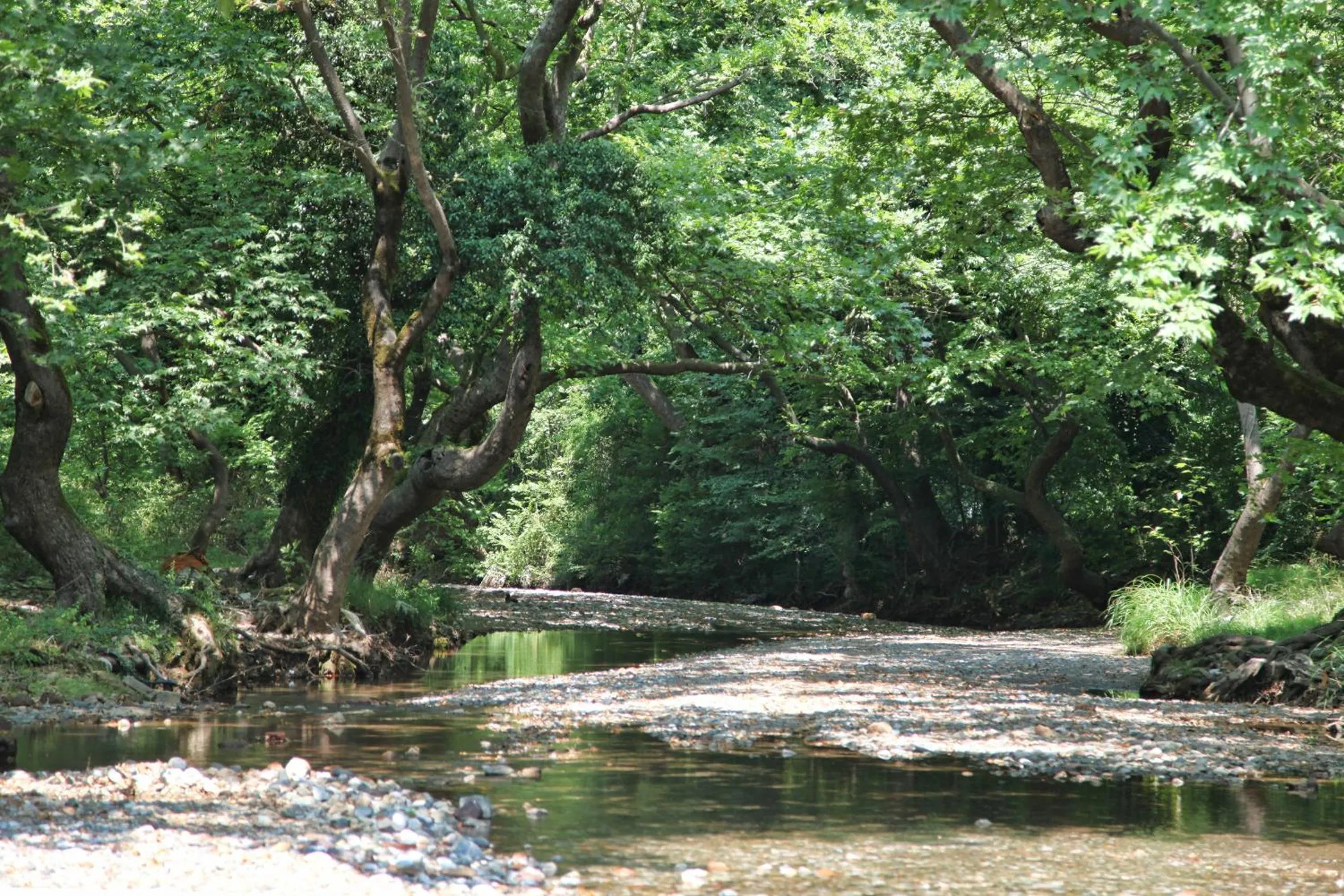 Area and facilities in Thalatta Seaside Hotel