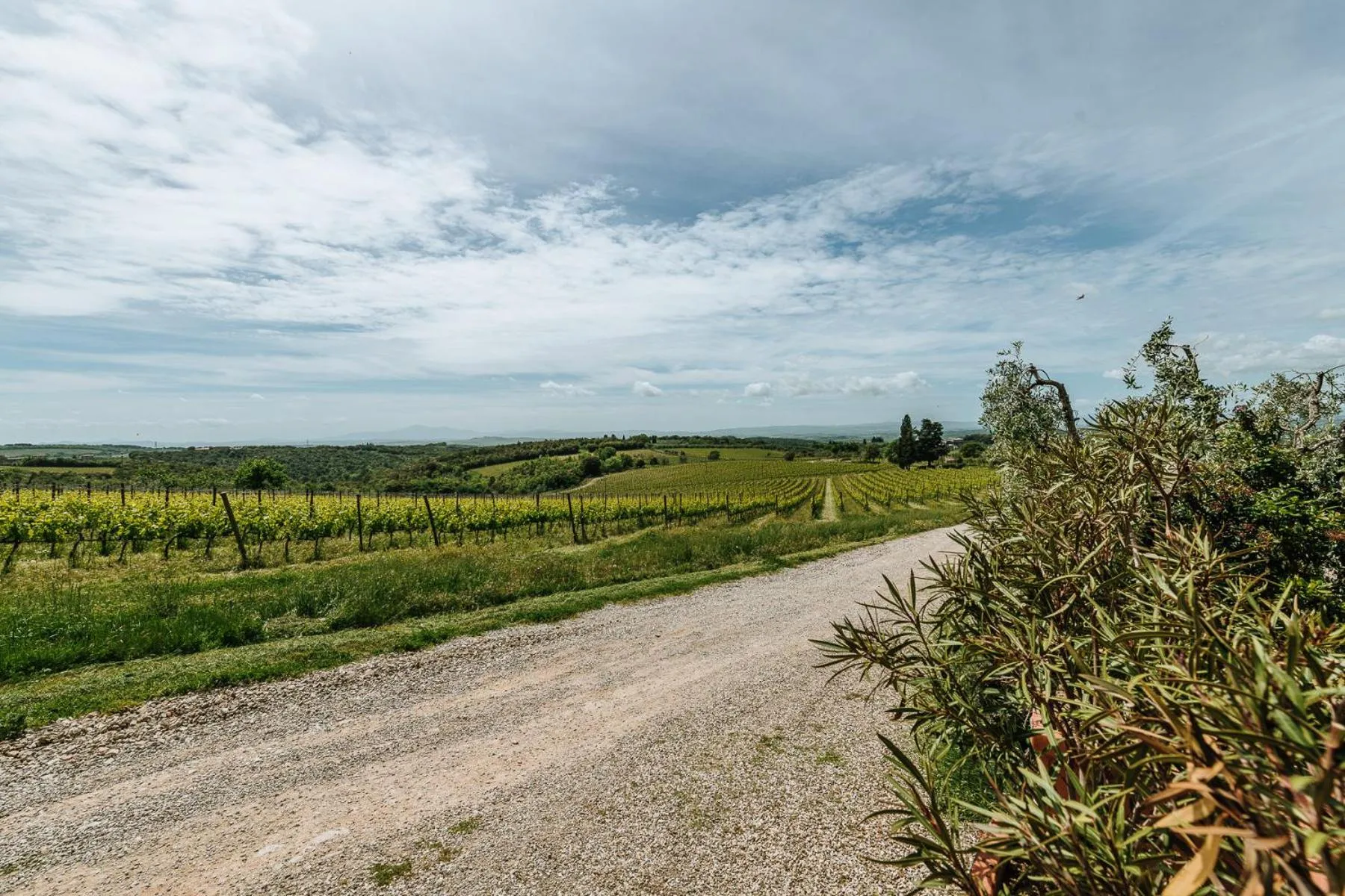 View (from property/room) in Villa Di Sotto