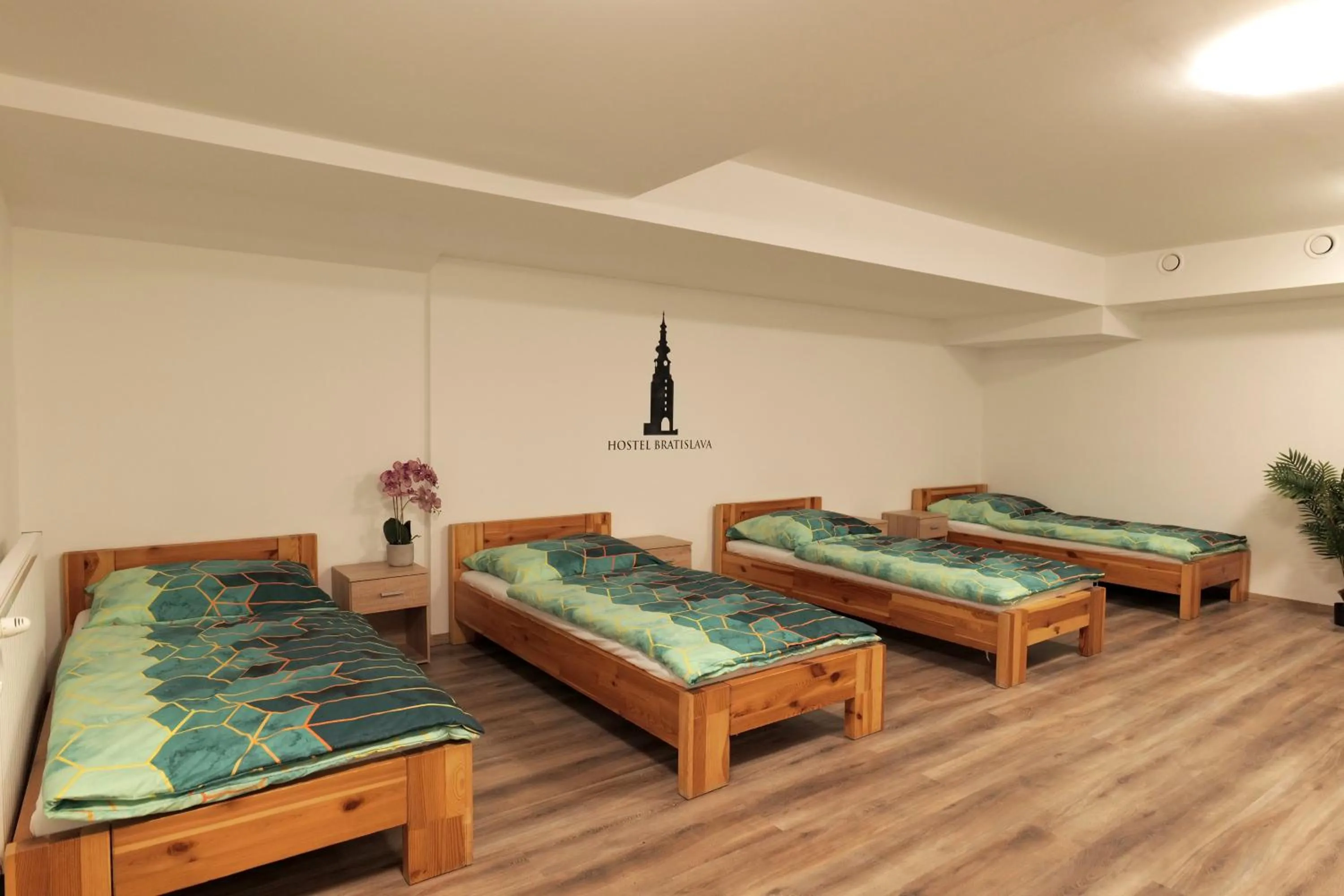 Photo of the whole room in Hostel Old Town