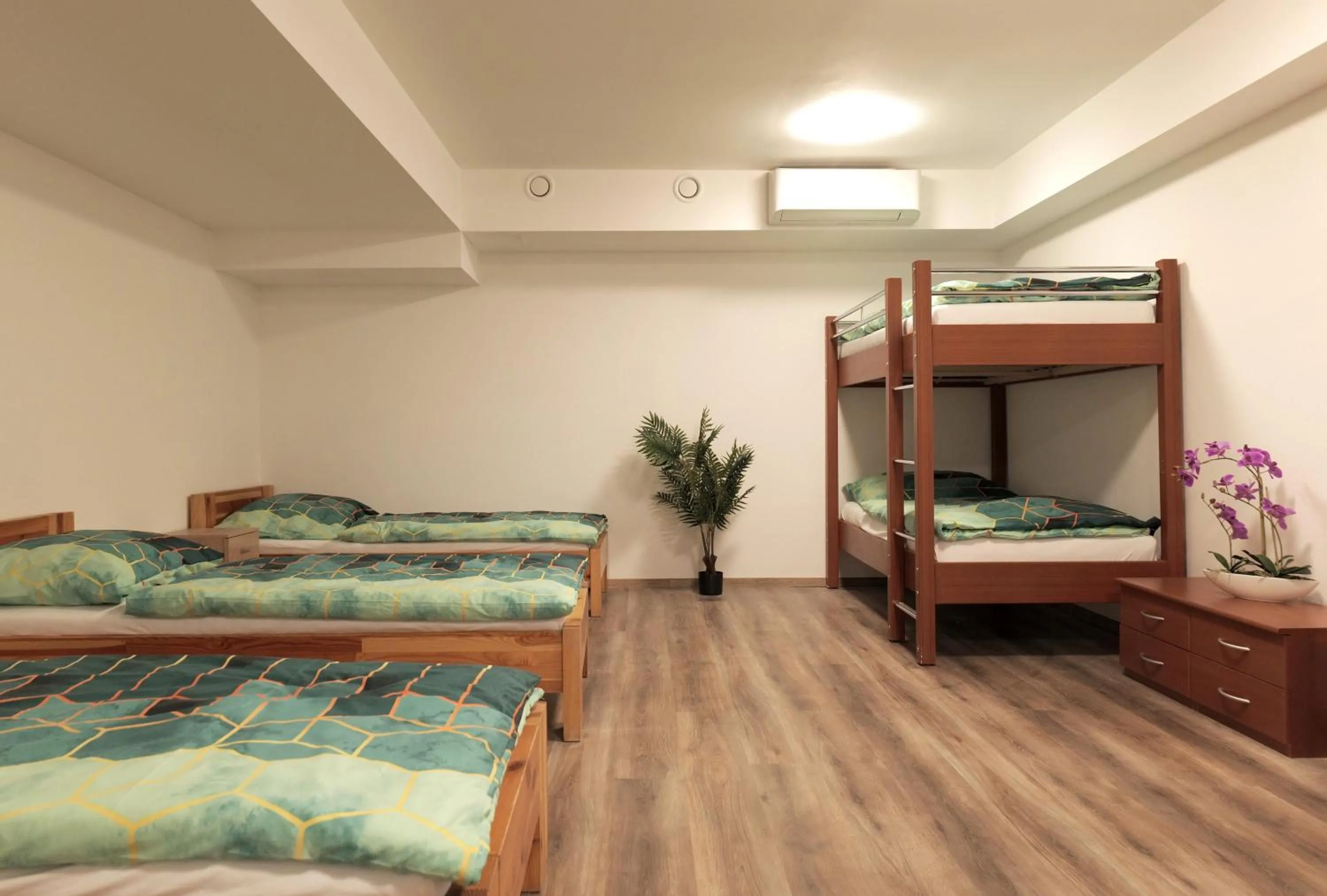 TV and multimedia in Hostel Old Town