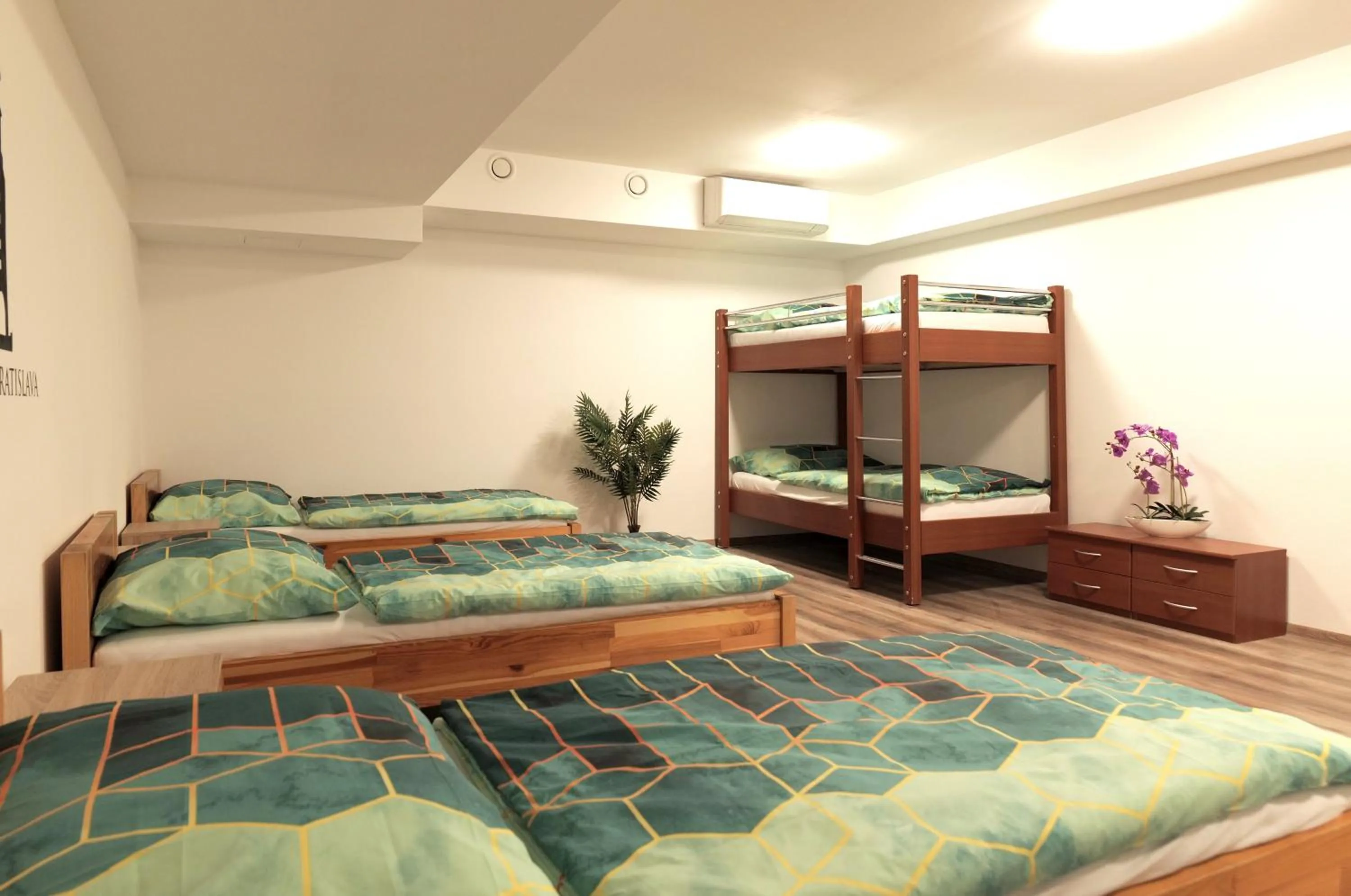 Photo of the whole room in Hostel Old Town