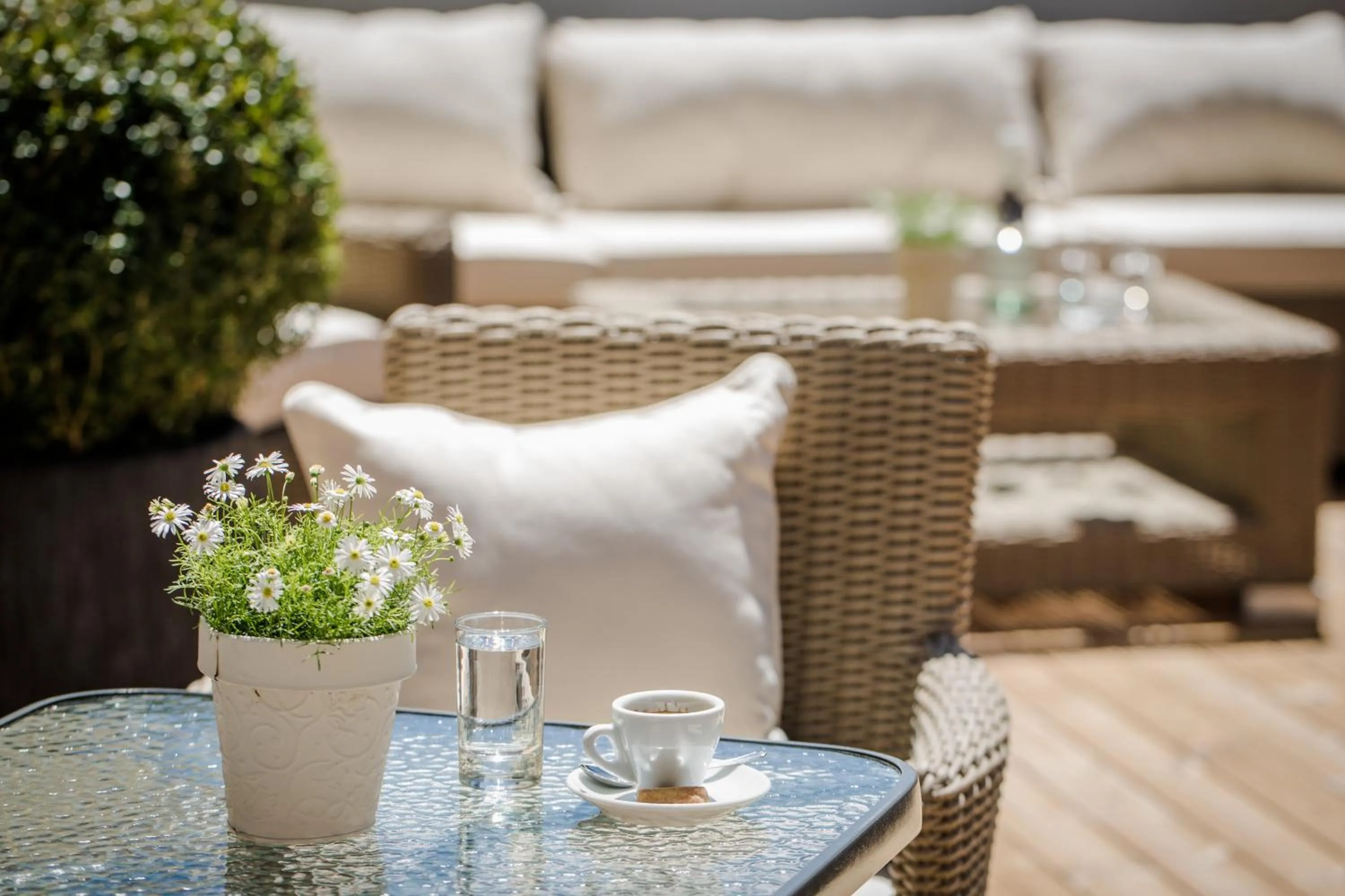 Balcony/Terrace in Hotel Annelies