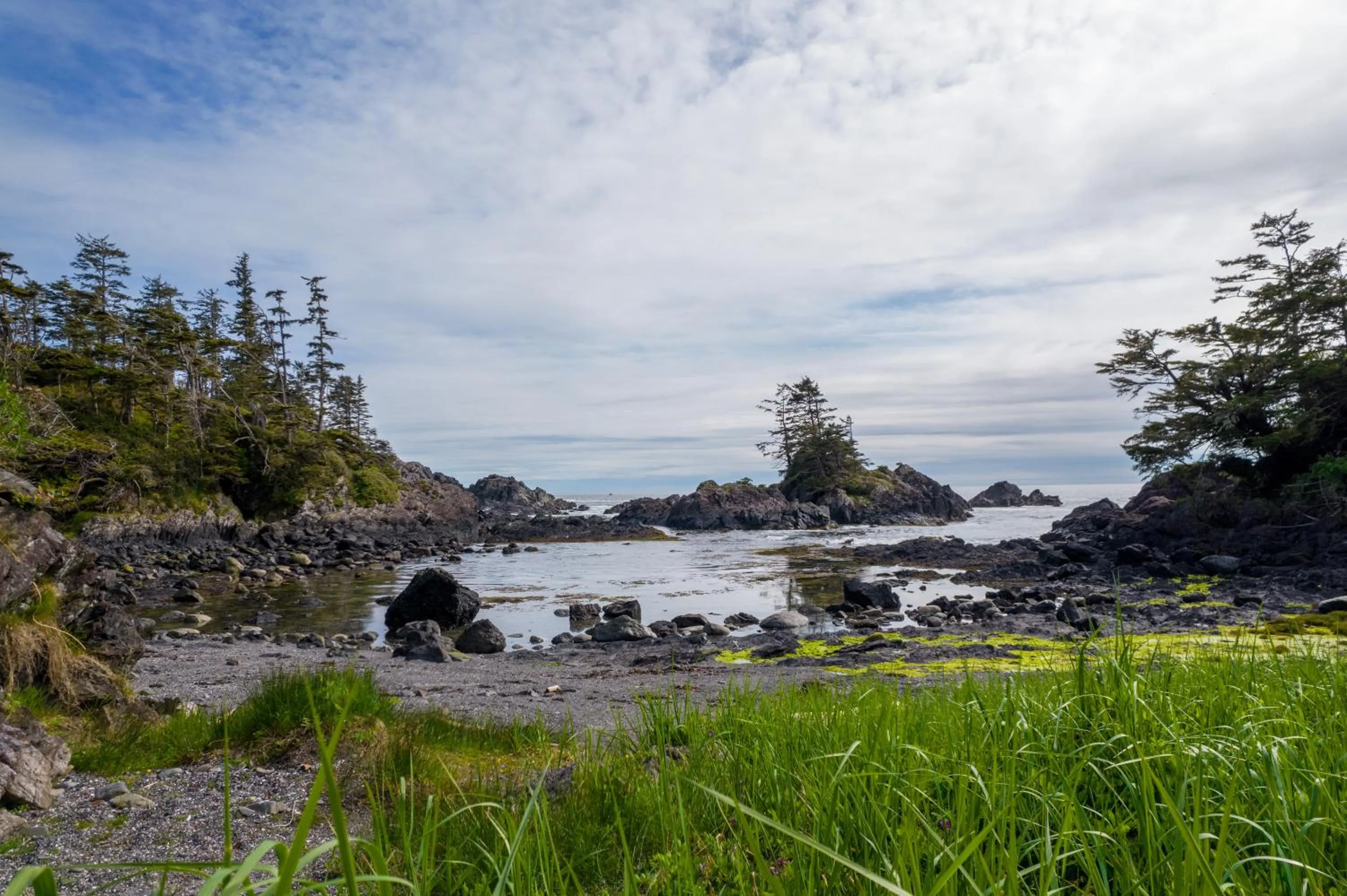 Natural landscape in Black Rock Beach House