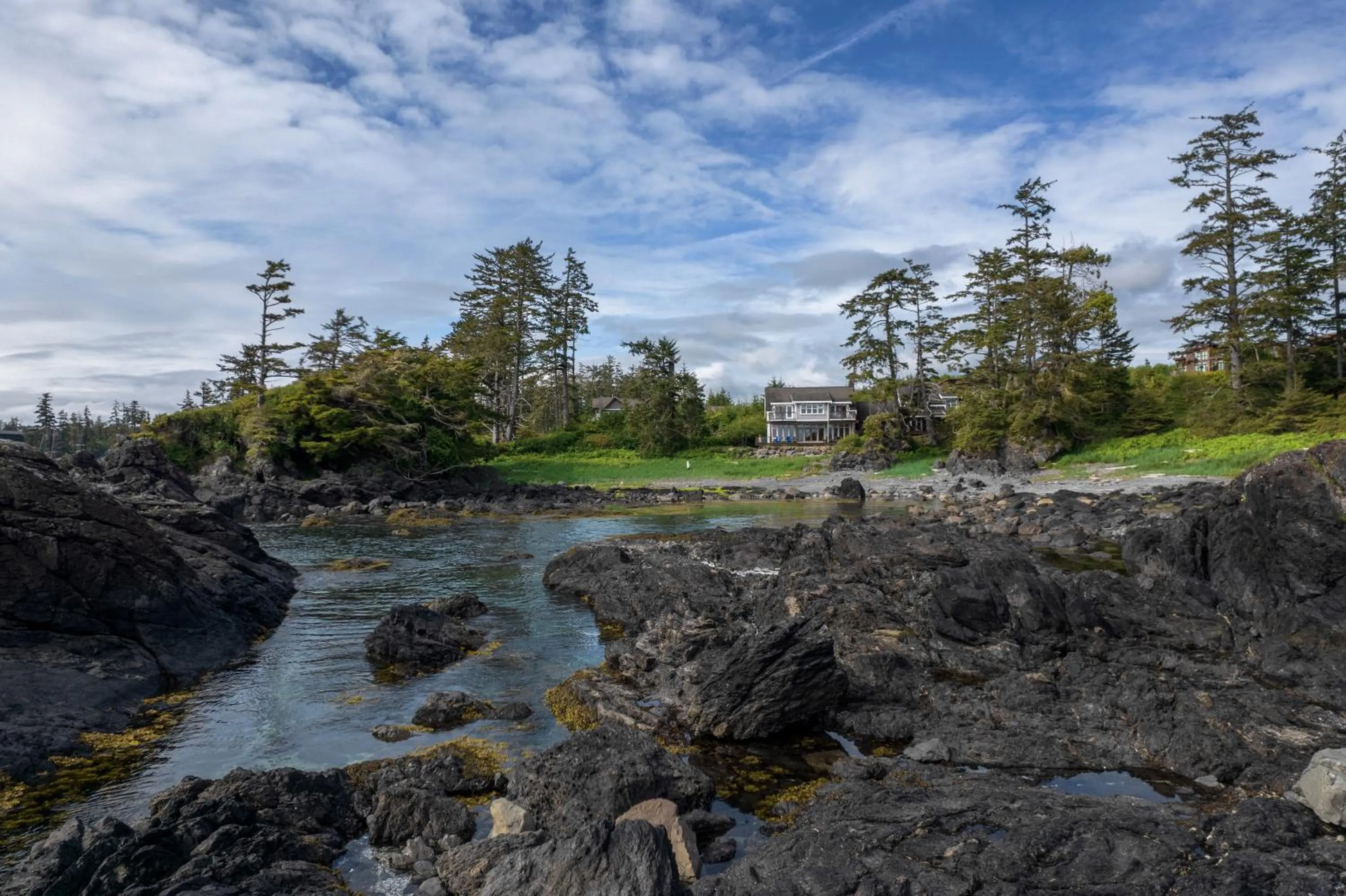 Natural landscape in Black Rock Beach House