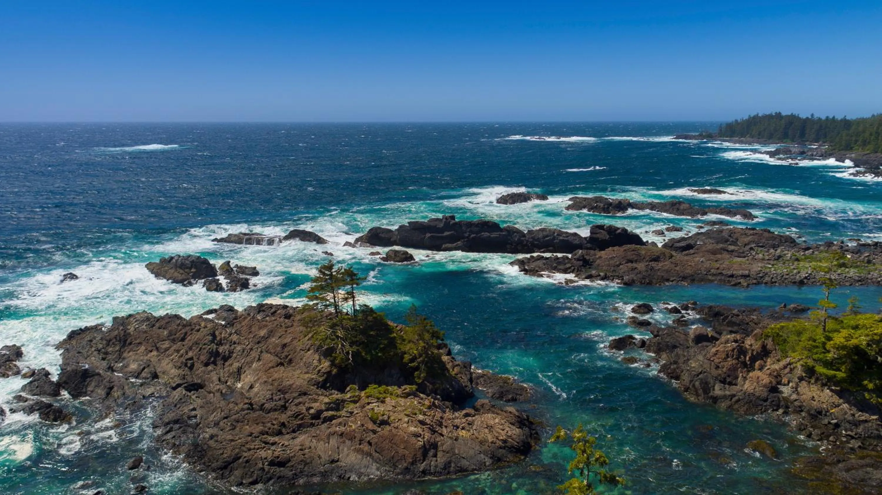 Natural landscape in Black Rock Beach House