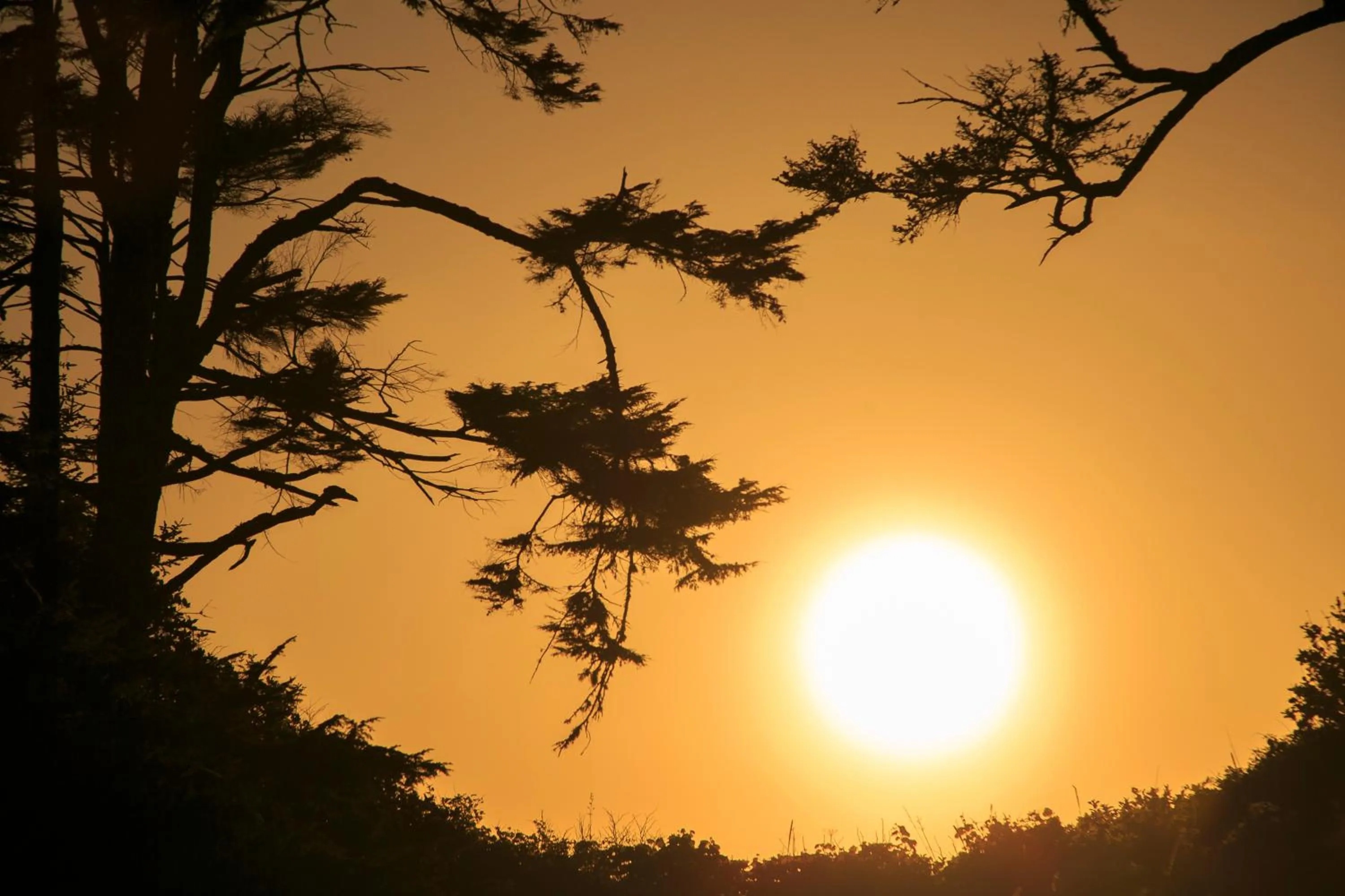 Sunset in Black Rock Beach House