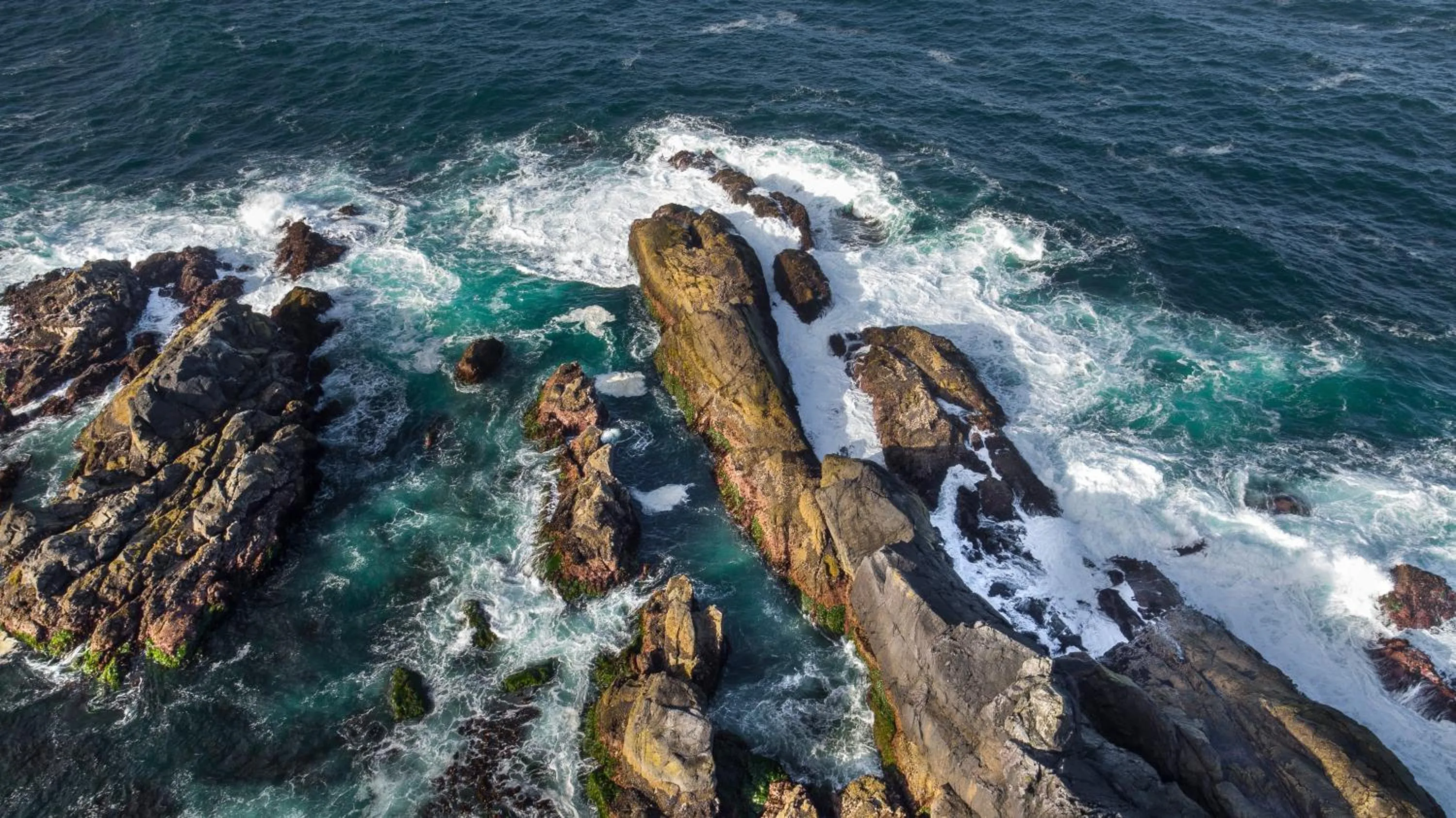 Natural landscape in Black Rock Beach House