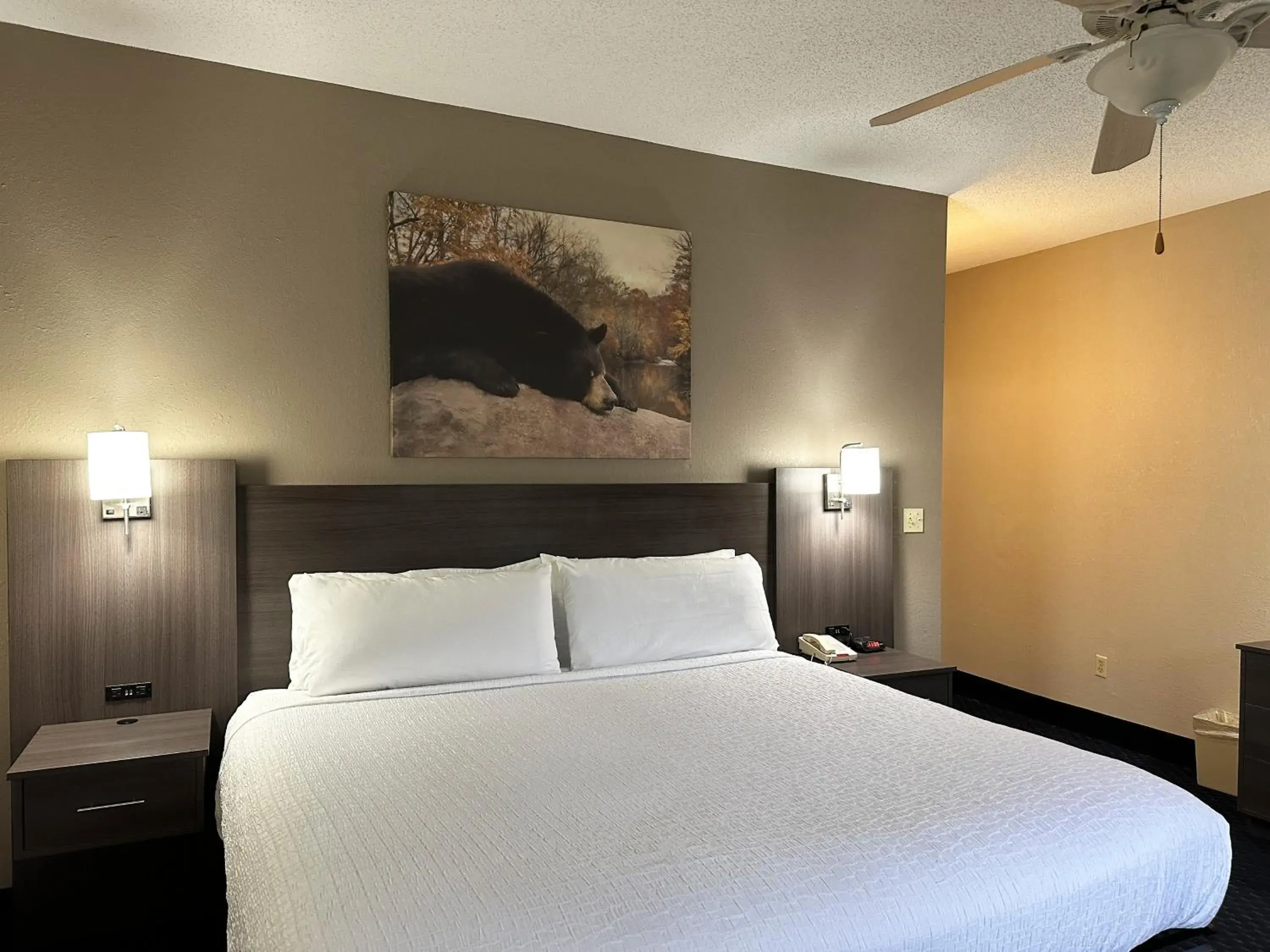 Deluxe King Room - No pets in Sidney James Mountain Lodge Deluxe King Room - No pets in Sidney James Mountain Lodge