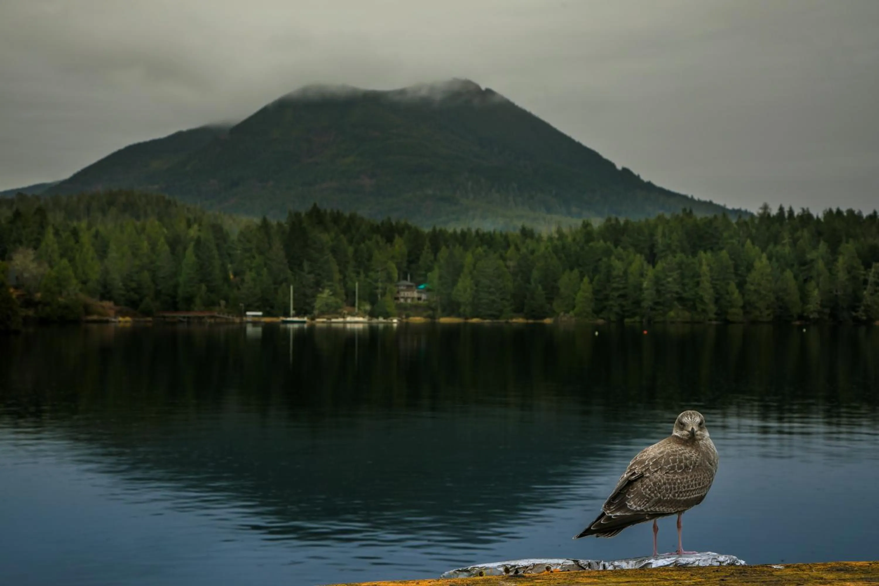 Natural landscape in Black Rock Landing