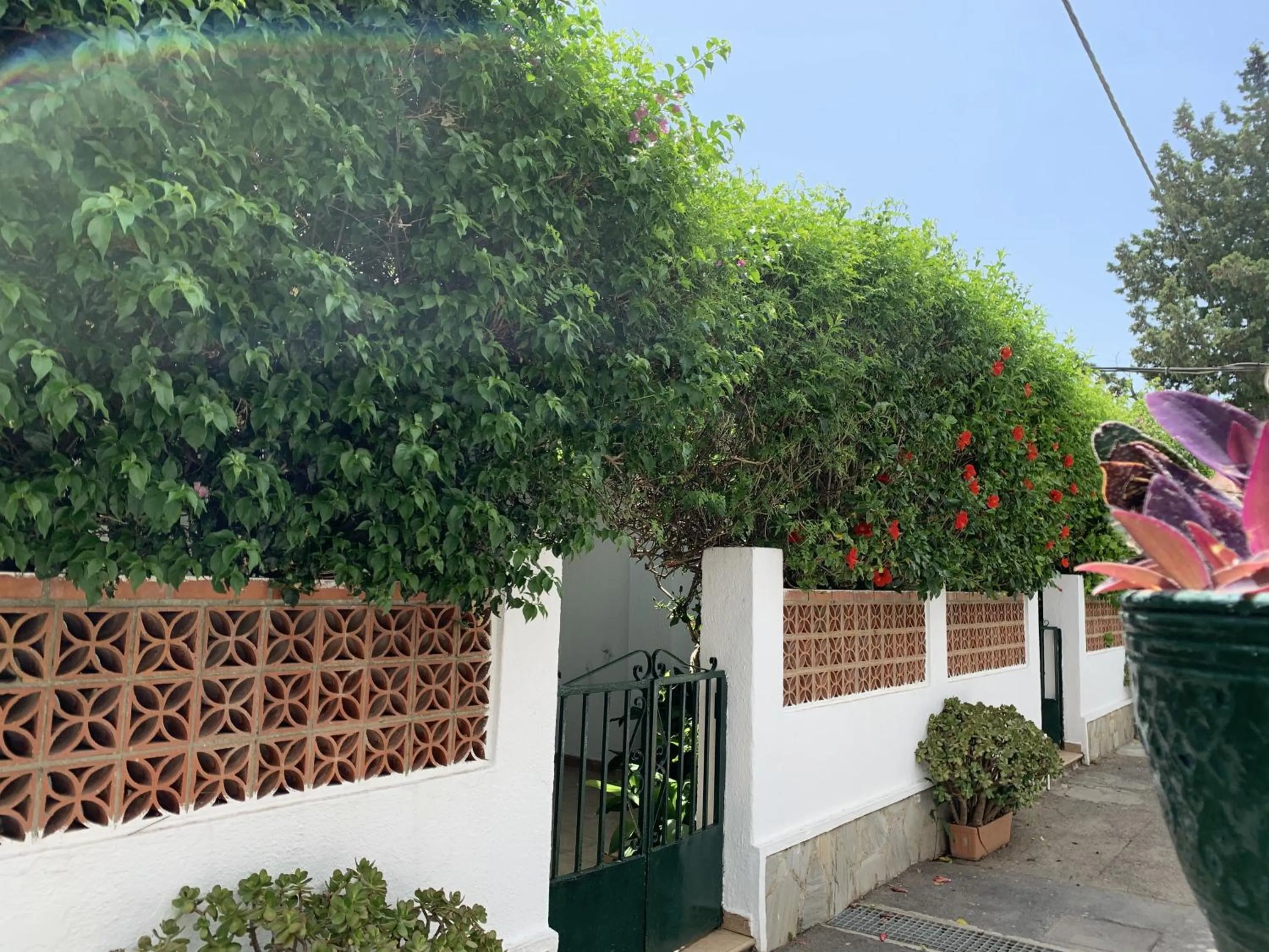 Patio in Hotel Antonio Conil