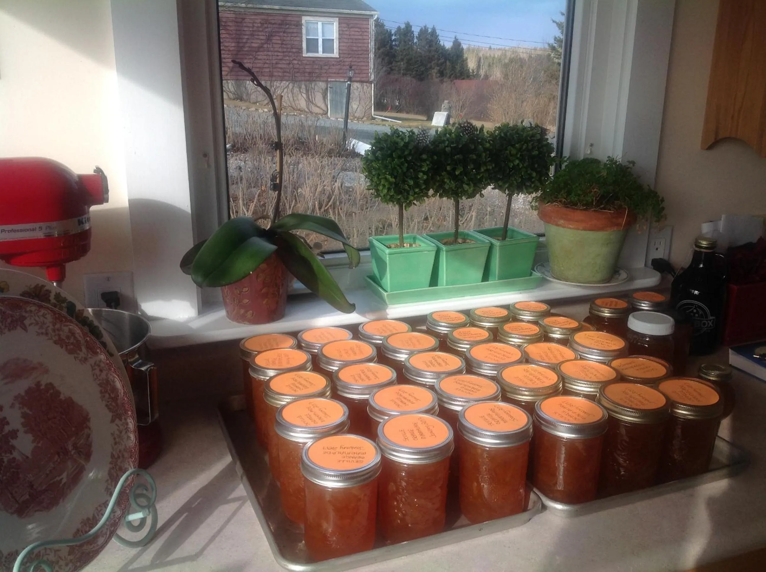 Food in Bayview Pines Country Inn B&B