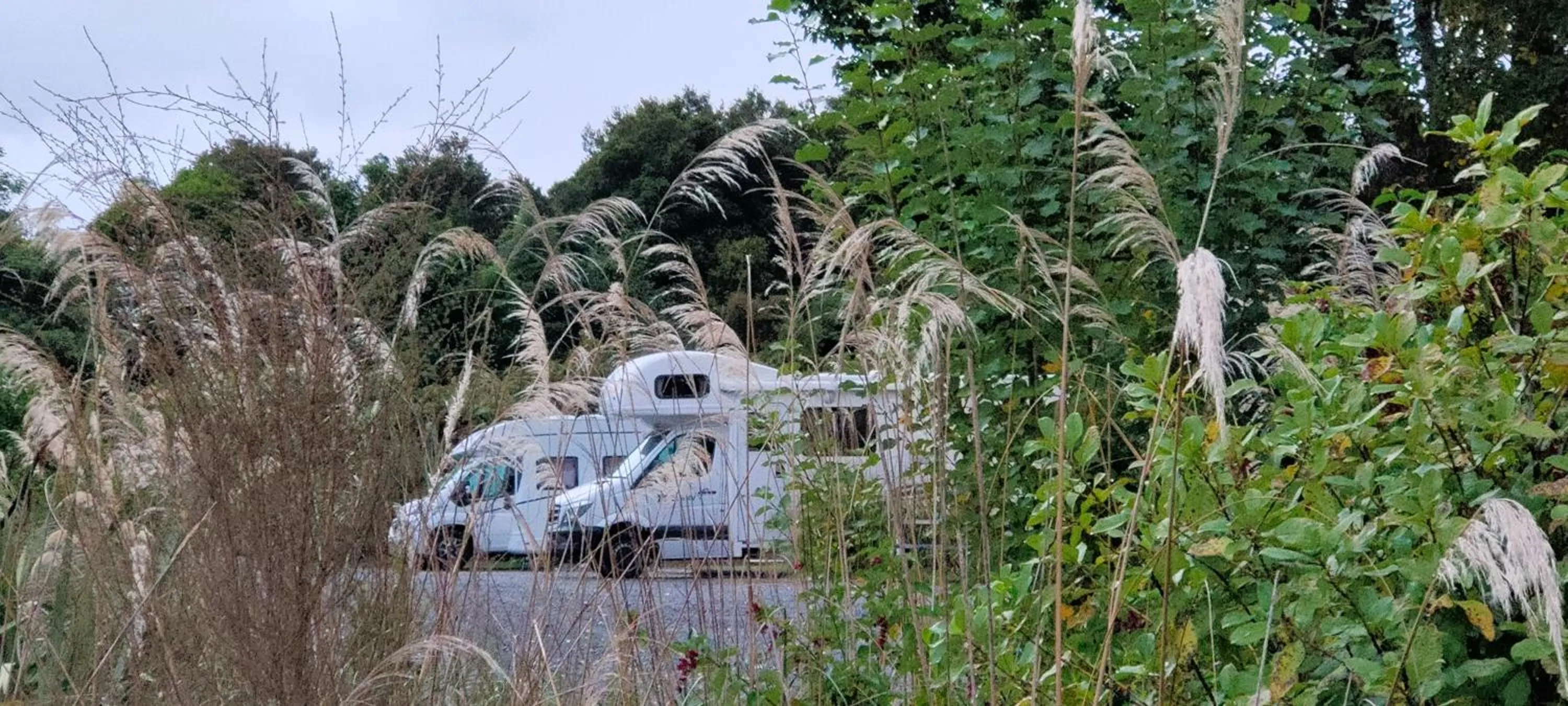Property building in Jackson's Retreat Alpine Holiday Park