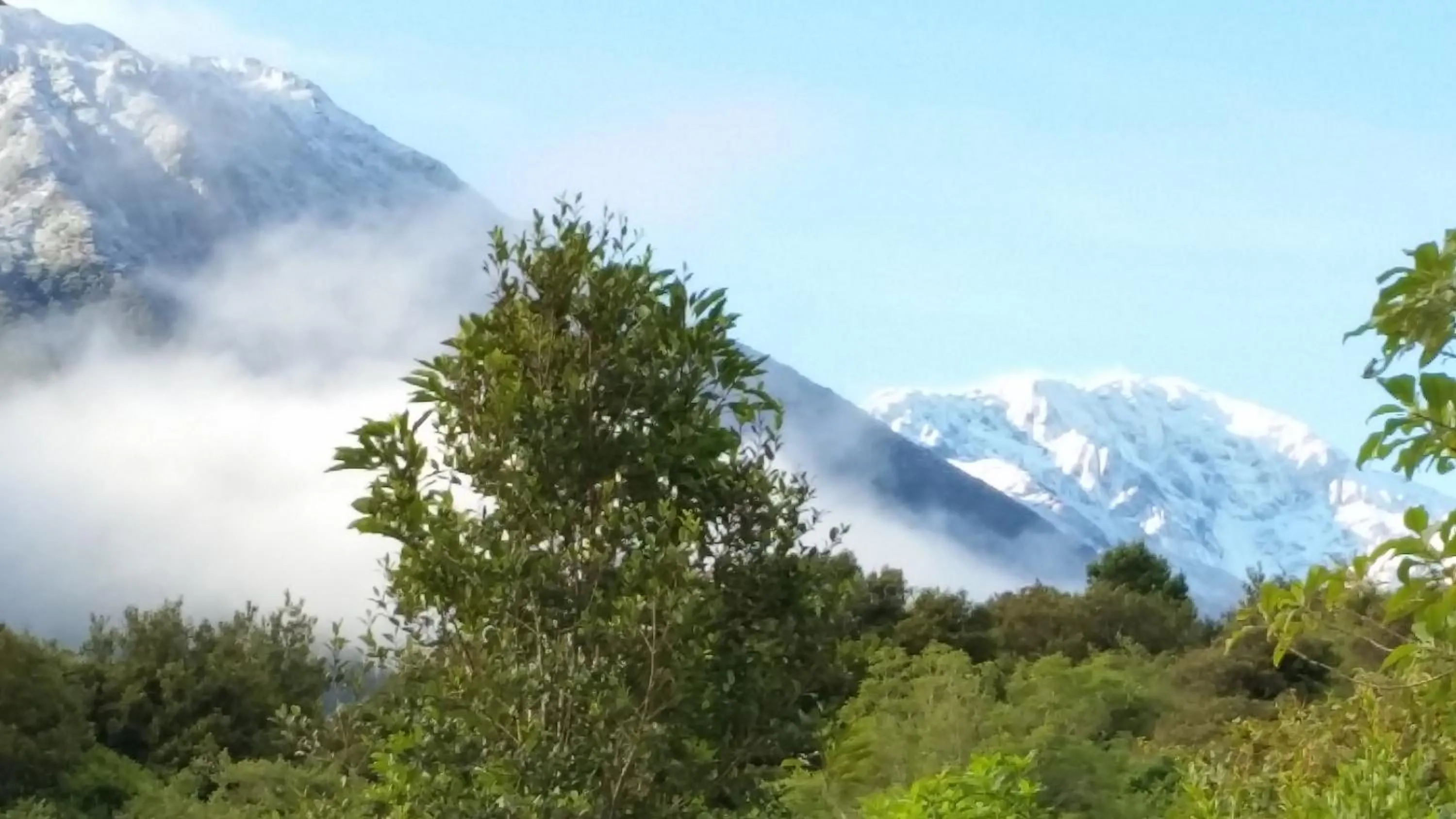 Natural landscape in Jackson's Retreat Alpine Holiday Park