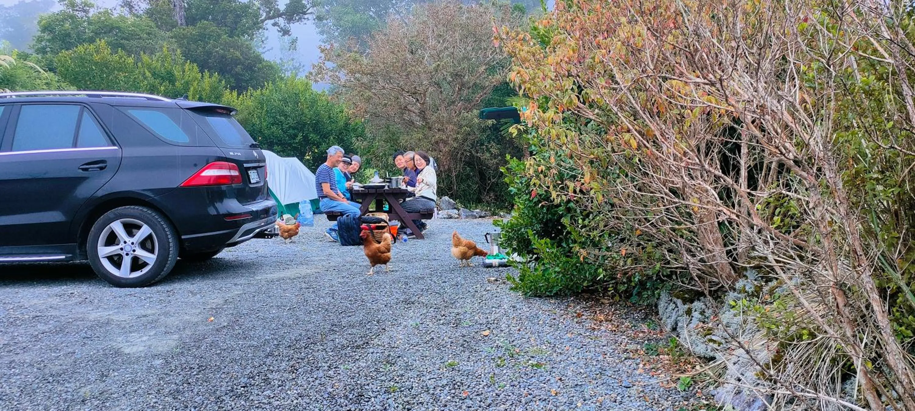 Natural landscape in Jackson's Retreat Alpine Holiday Park
