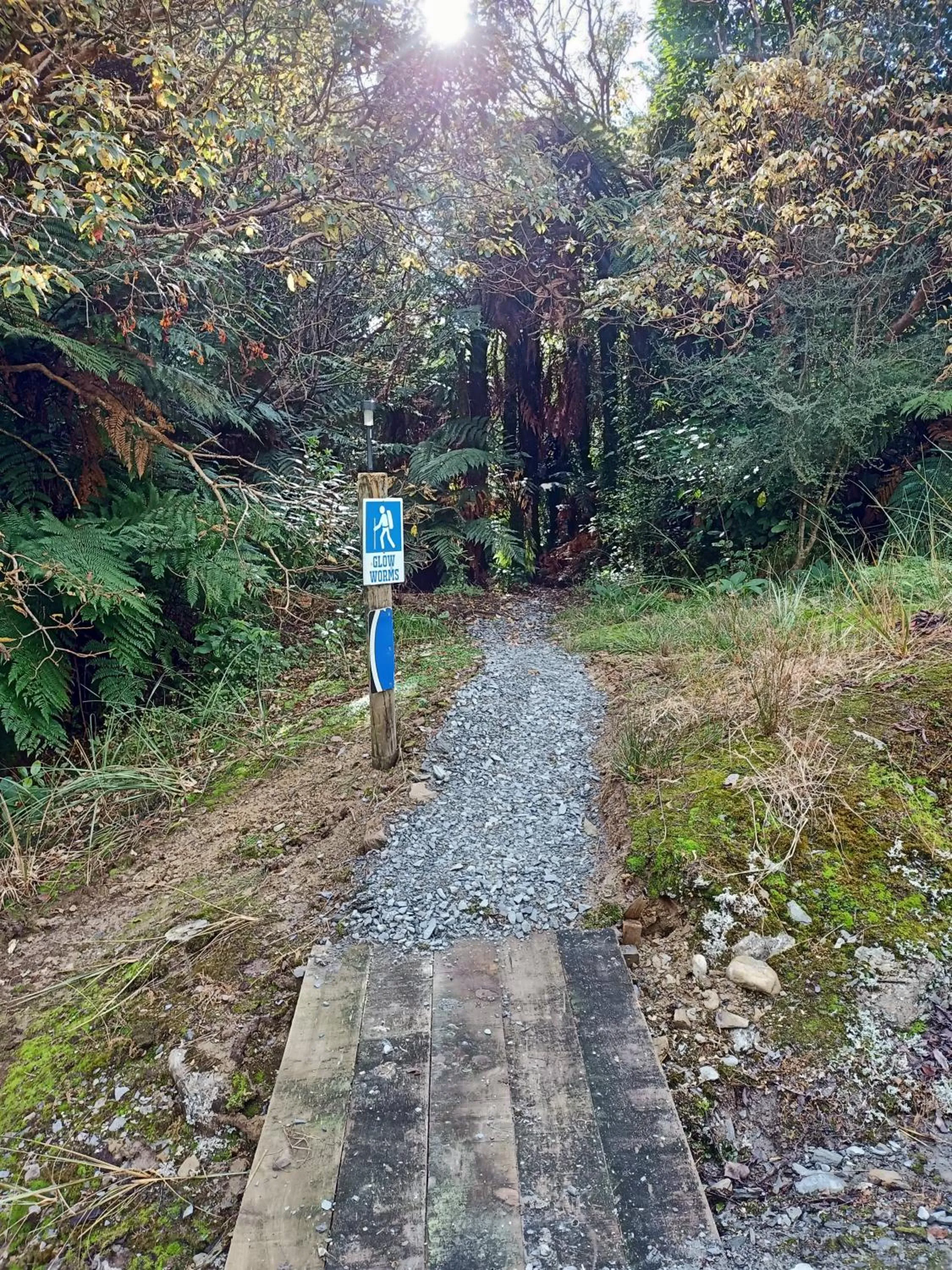 Day in Jackson's Retreat Alpine Holiday Park