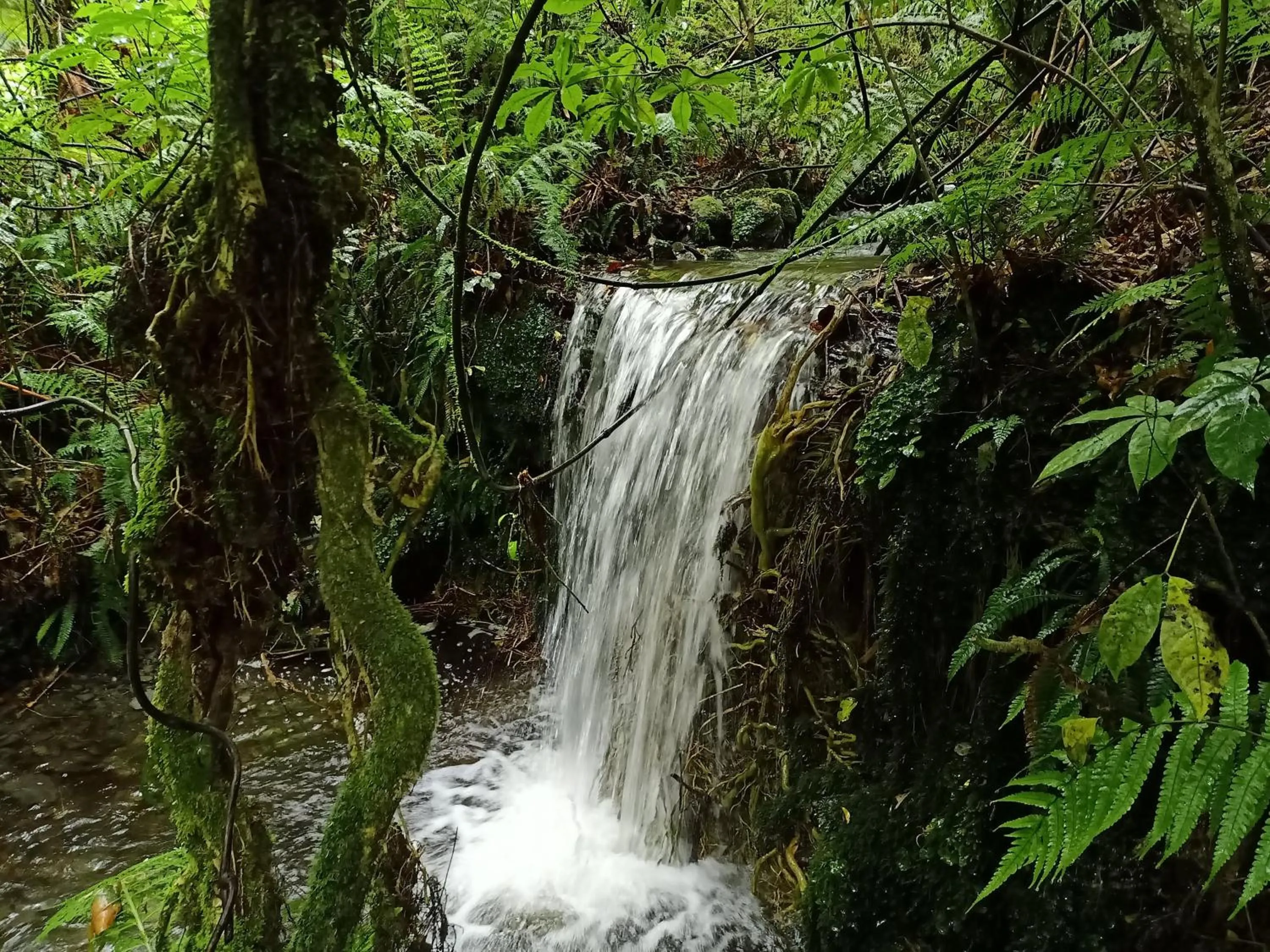Nearby landmark in Jackson's Retreat Alpine Holiday Park