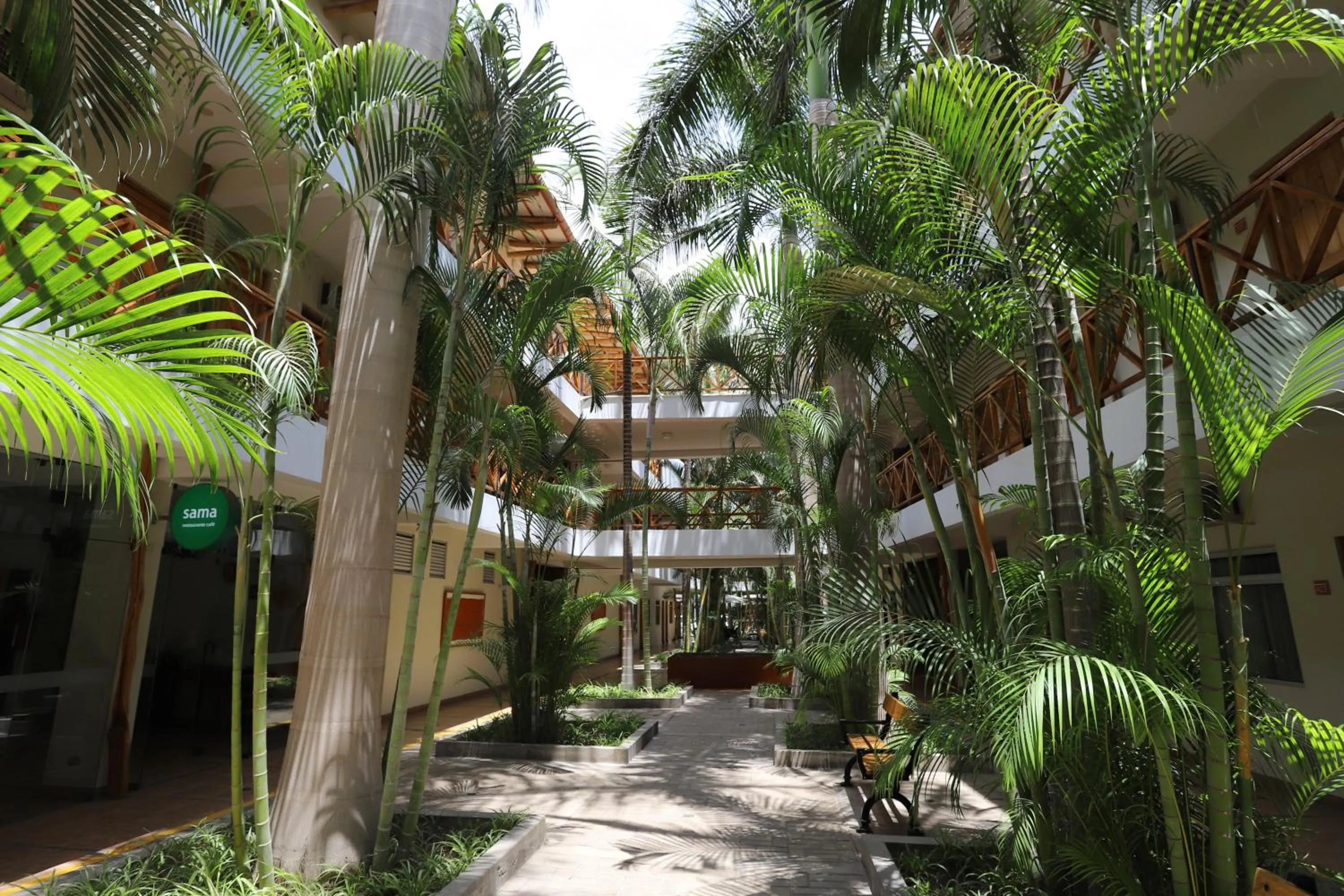 Natural landscape in Casa Andina Standard Nasca