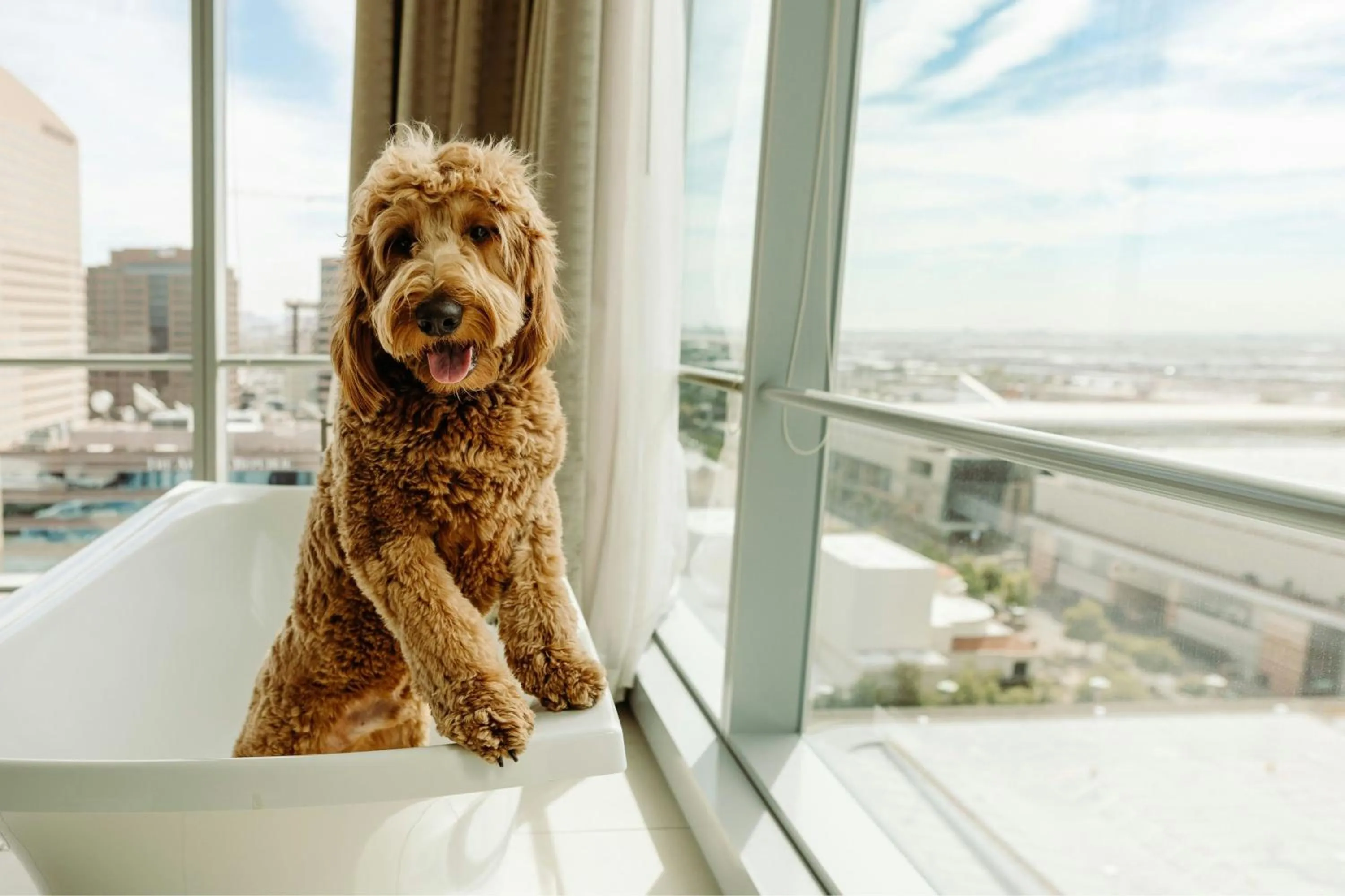 Other in The Westin Phoenix Downtown