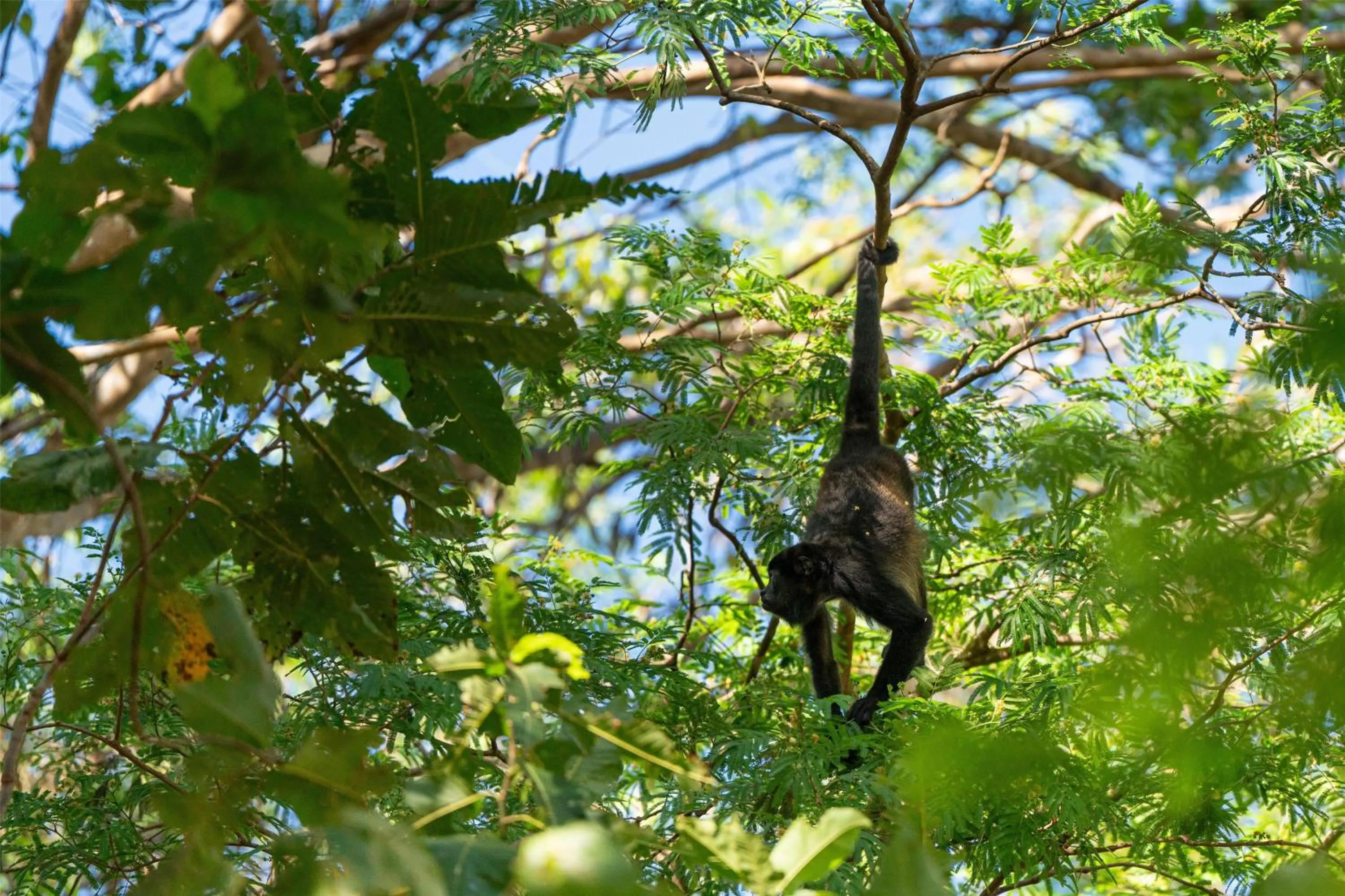 Property building in Maravida Boutique Hotel & Resort