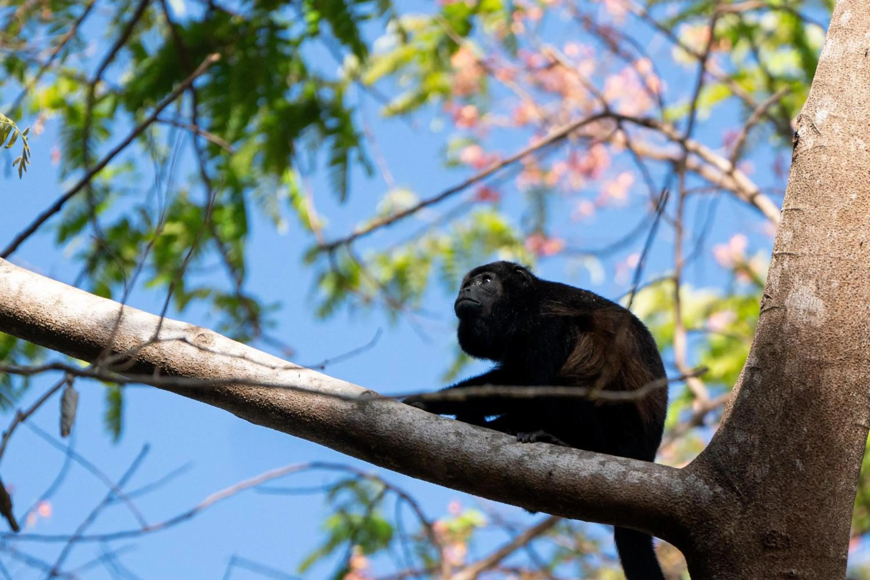 Property building in Maravida Boutique Hotel & Resort