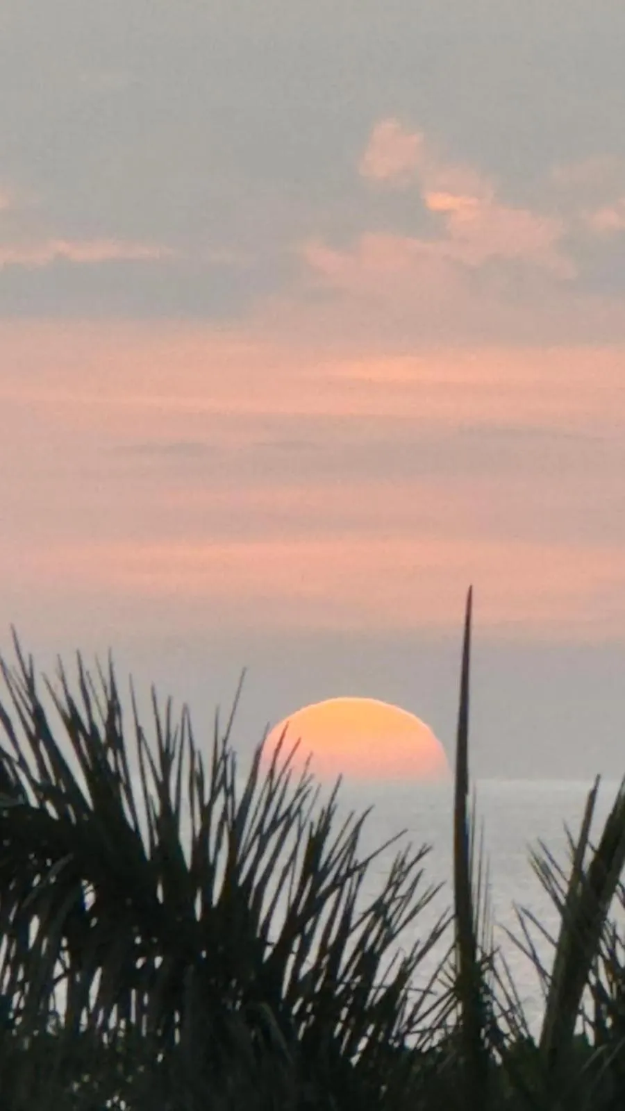 Natural landscape in Maravida Boutique Hotel & Resort