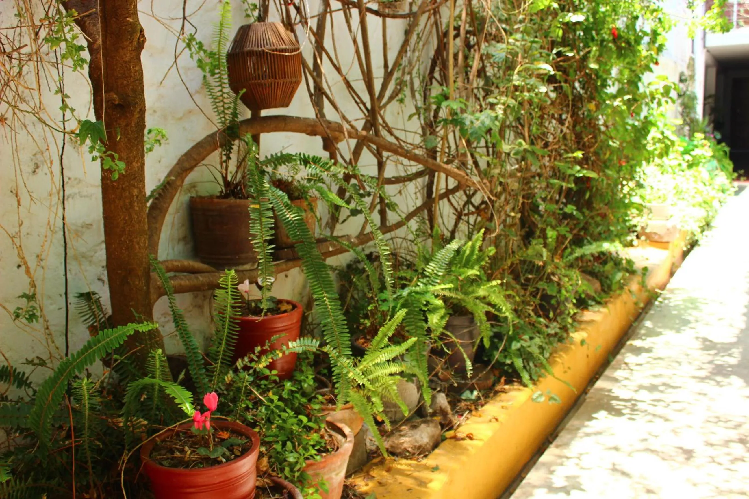 Garden in Casa de Mama Cusco 2-The Ecohouse
