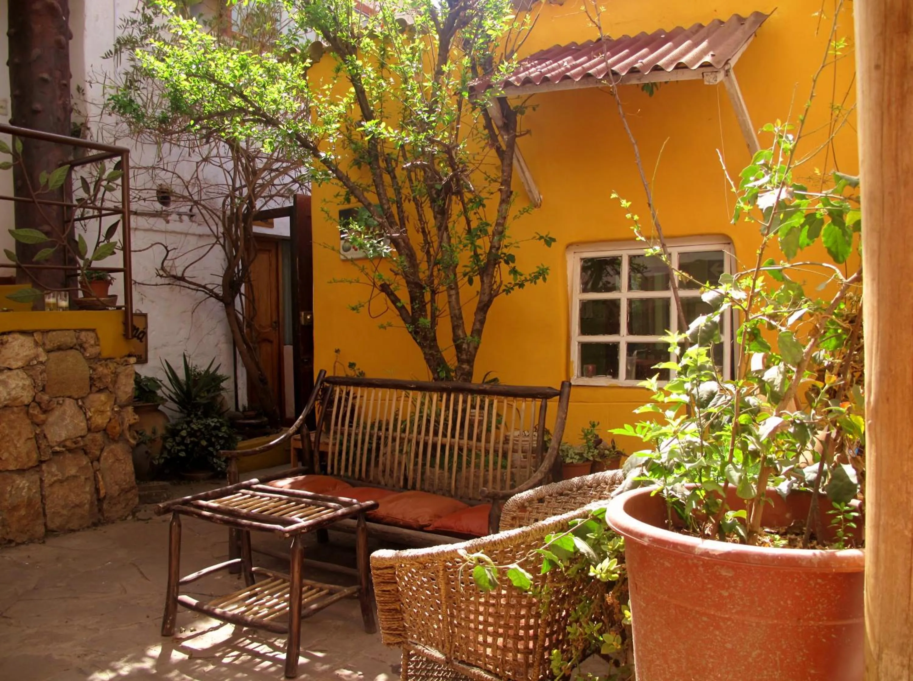 Garden in Casa de Mama Cusco 2-The Ecohouse