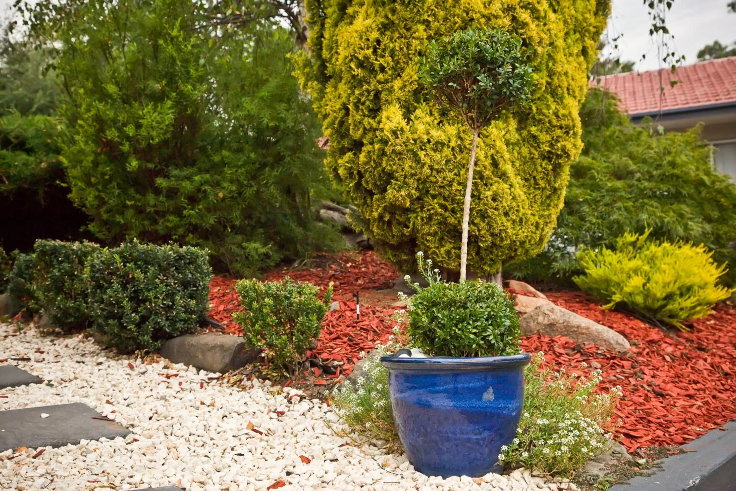 Garden in Abbotsleigh Motor Inn
