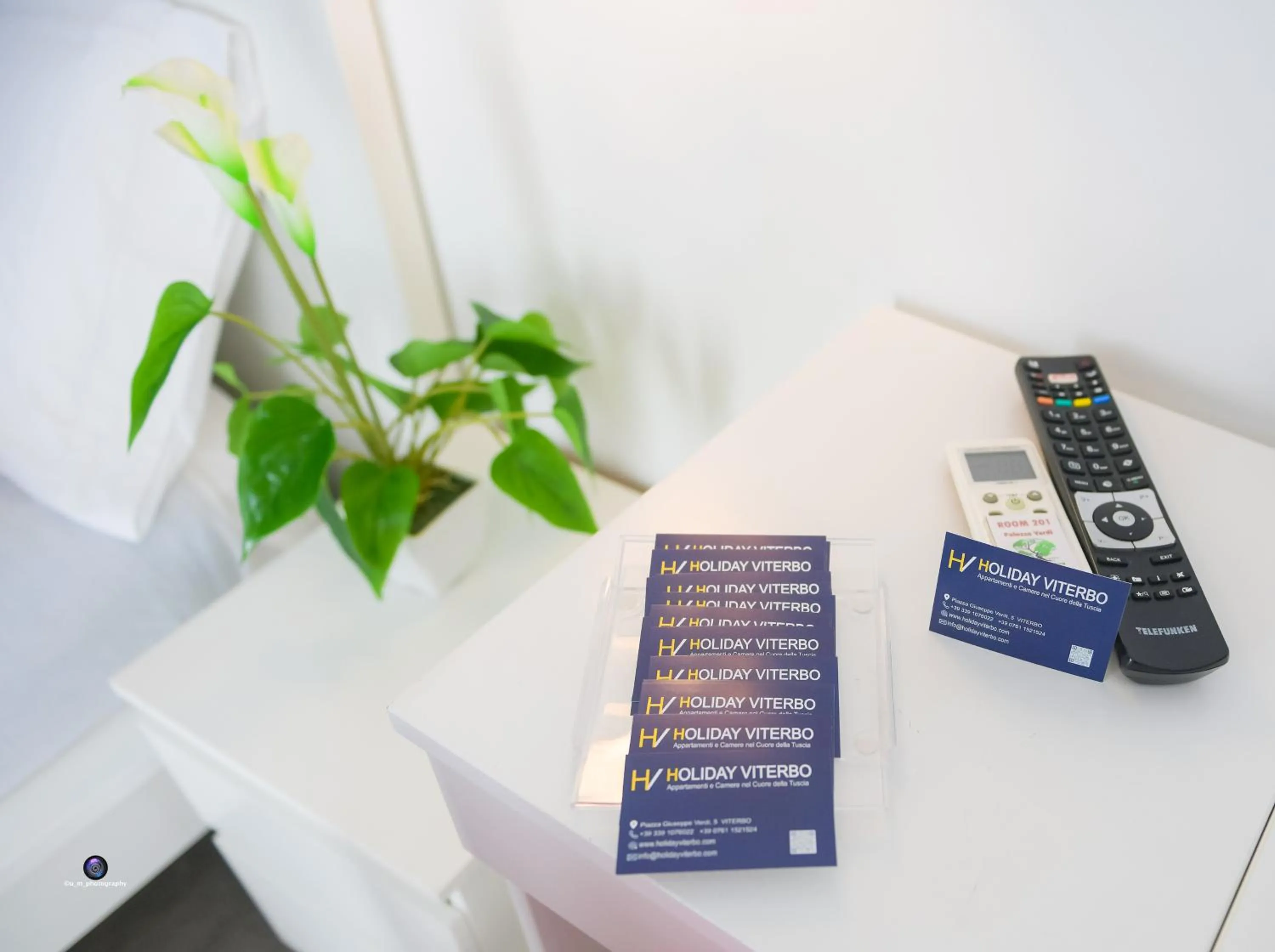 Palazzo Verdi Holiday Viterbo