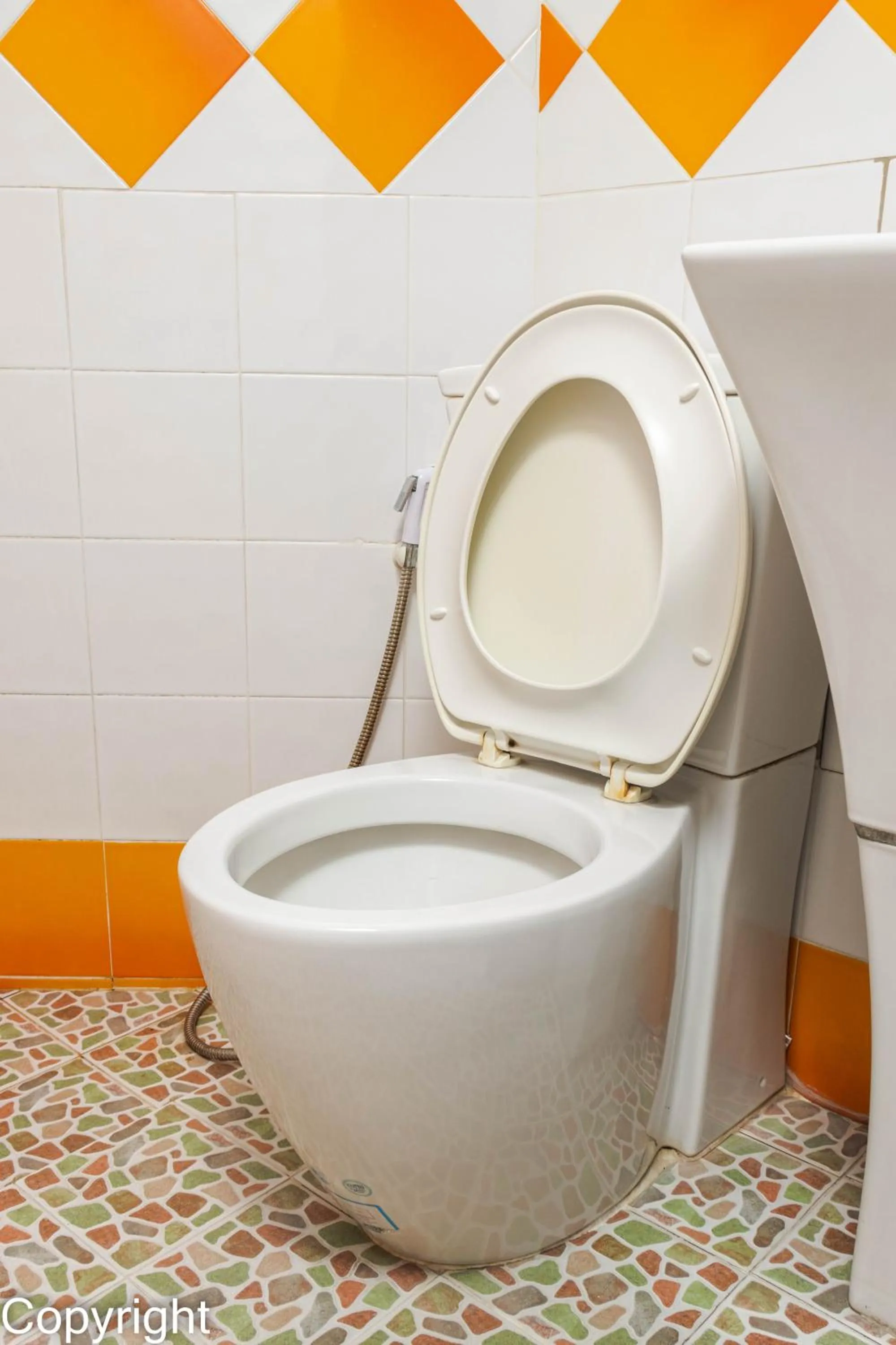 Bathroom in S.K. House 1