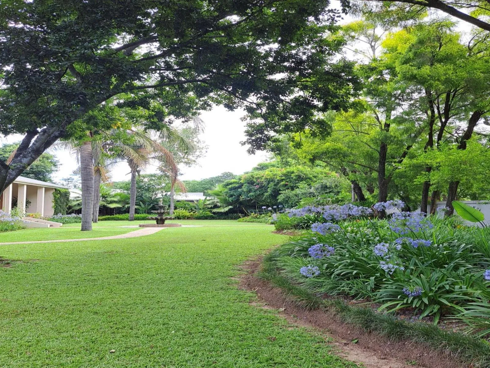 Garden in Peppertree House BnB and Self-catering