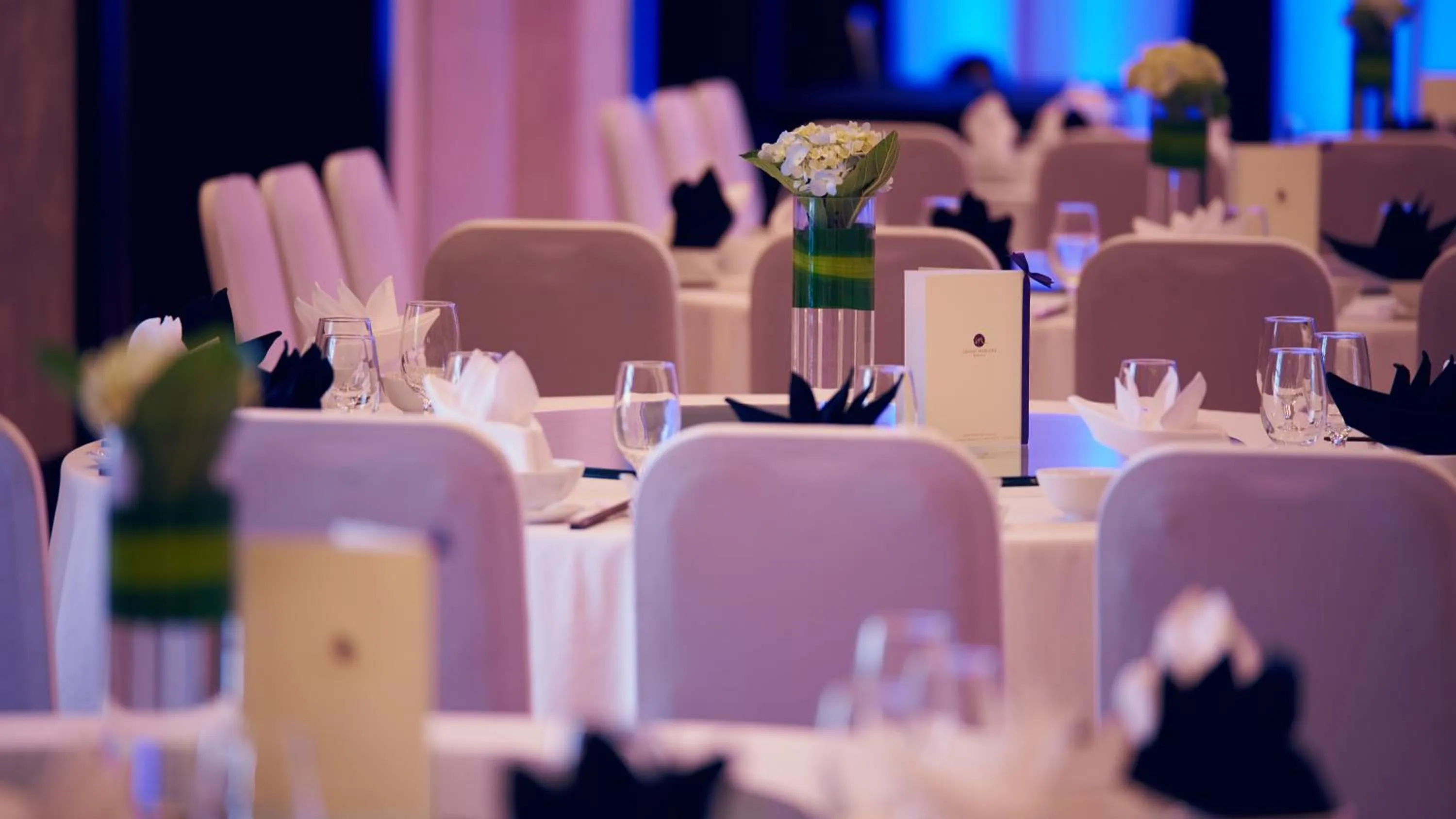 Business facilities in Grand Mercure Danang