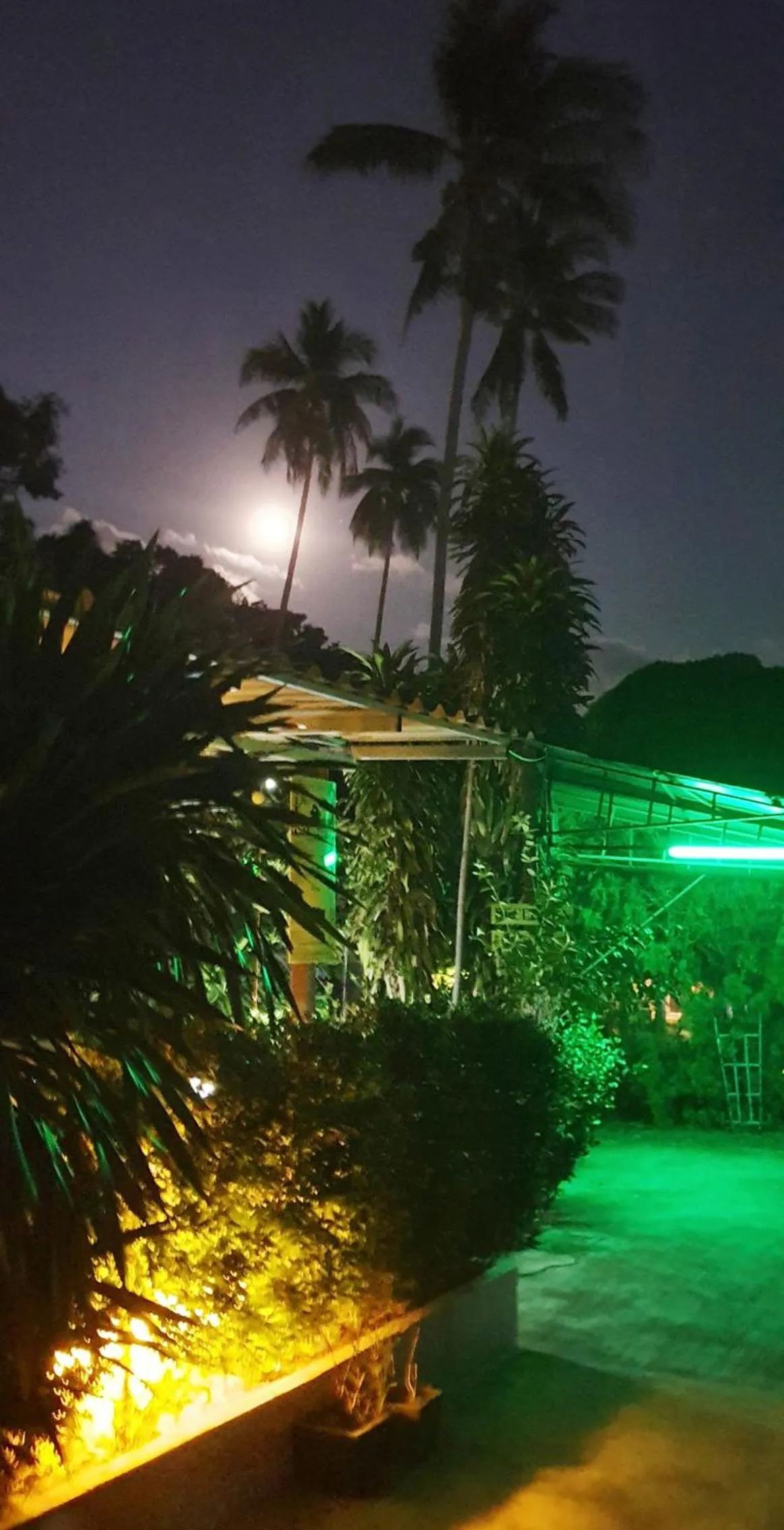 Night in Green Canyon Resort