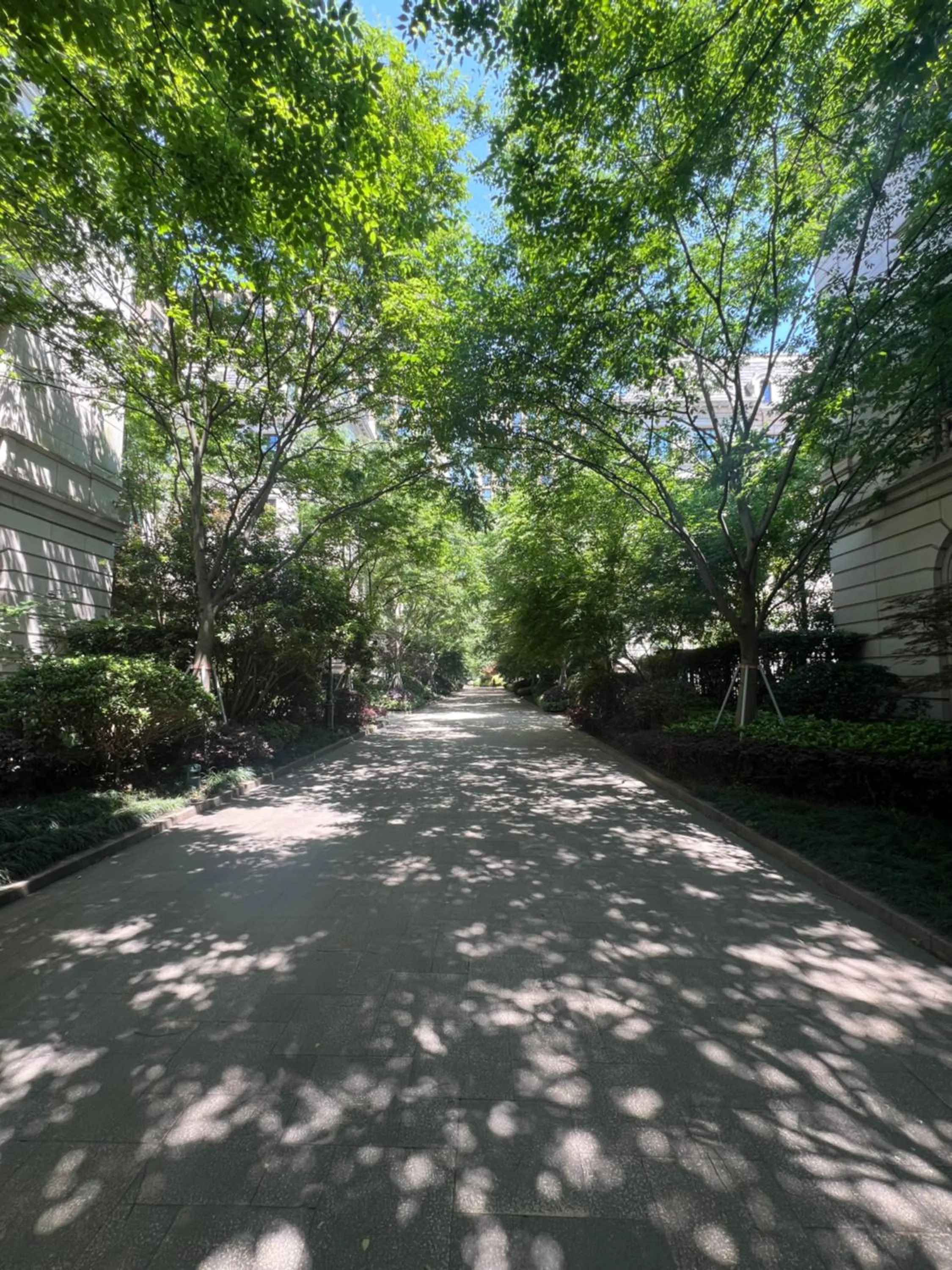 Property building in Lujiazui More Residence