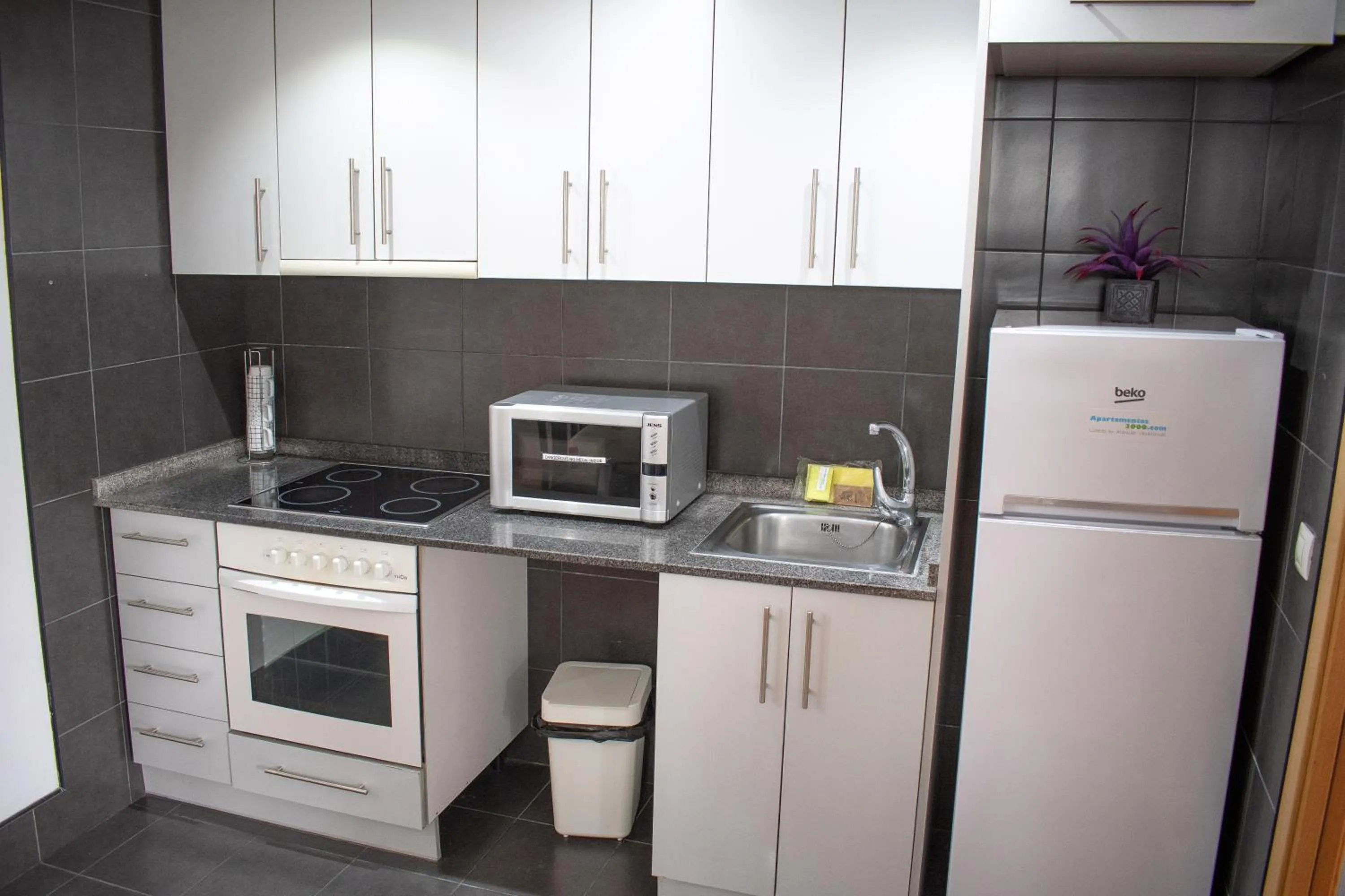 Kitchen or kitchenette in Apartamentos La Solana 3000