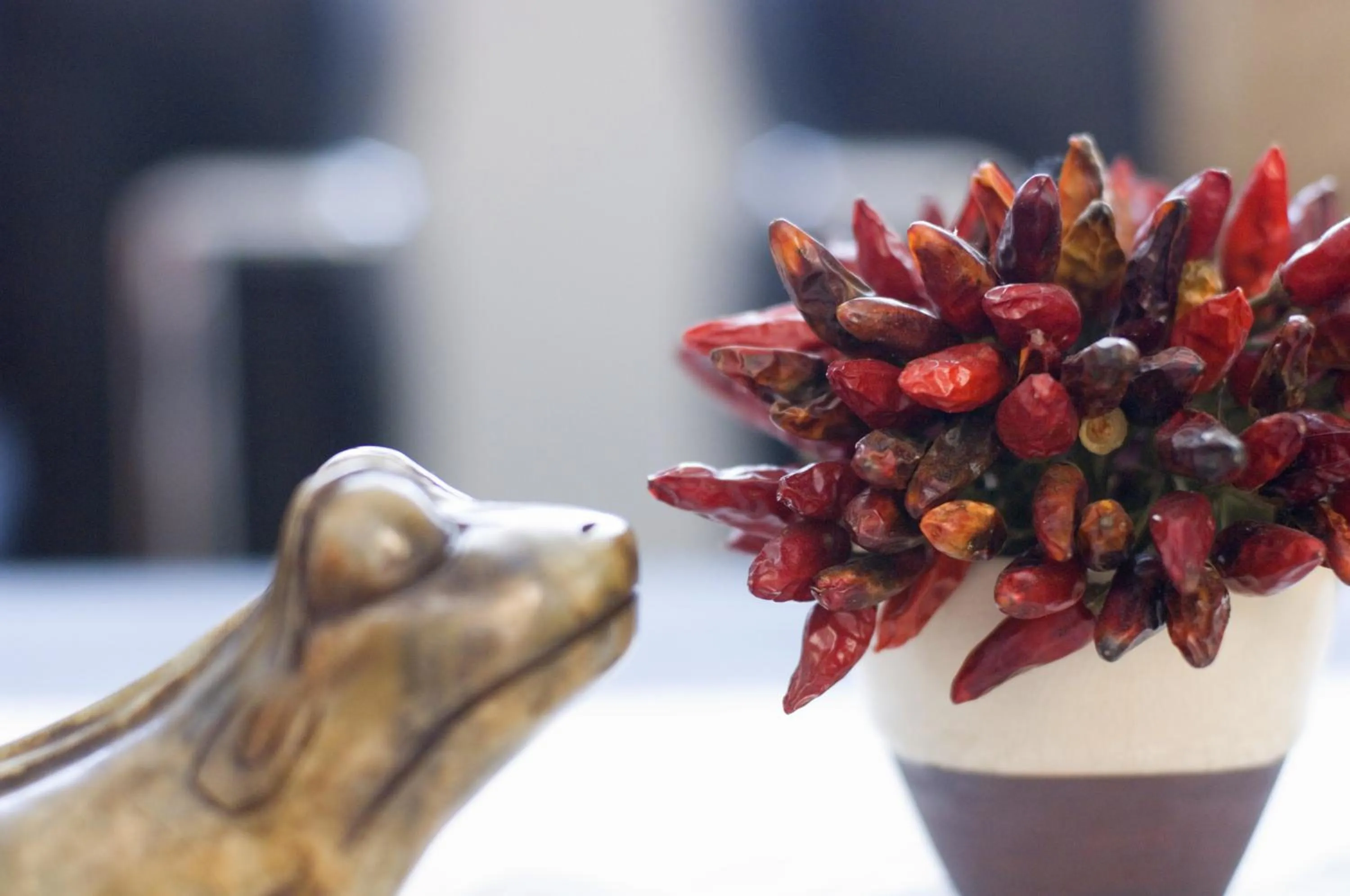 Other in Hotel Meridiana