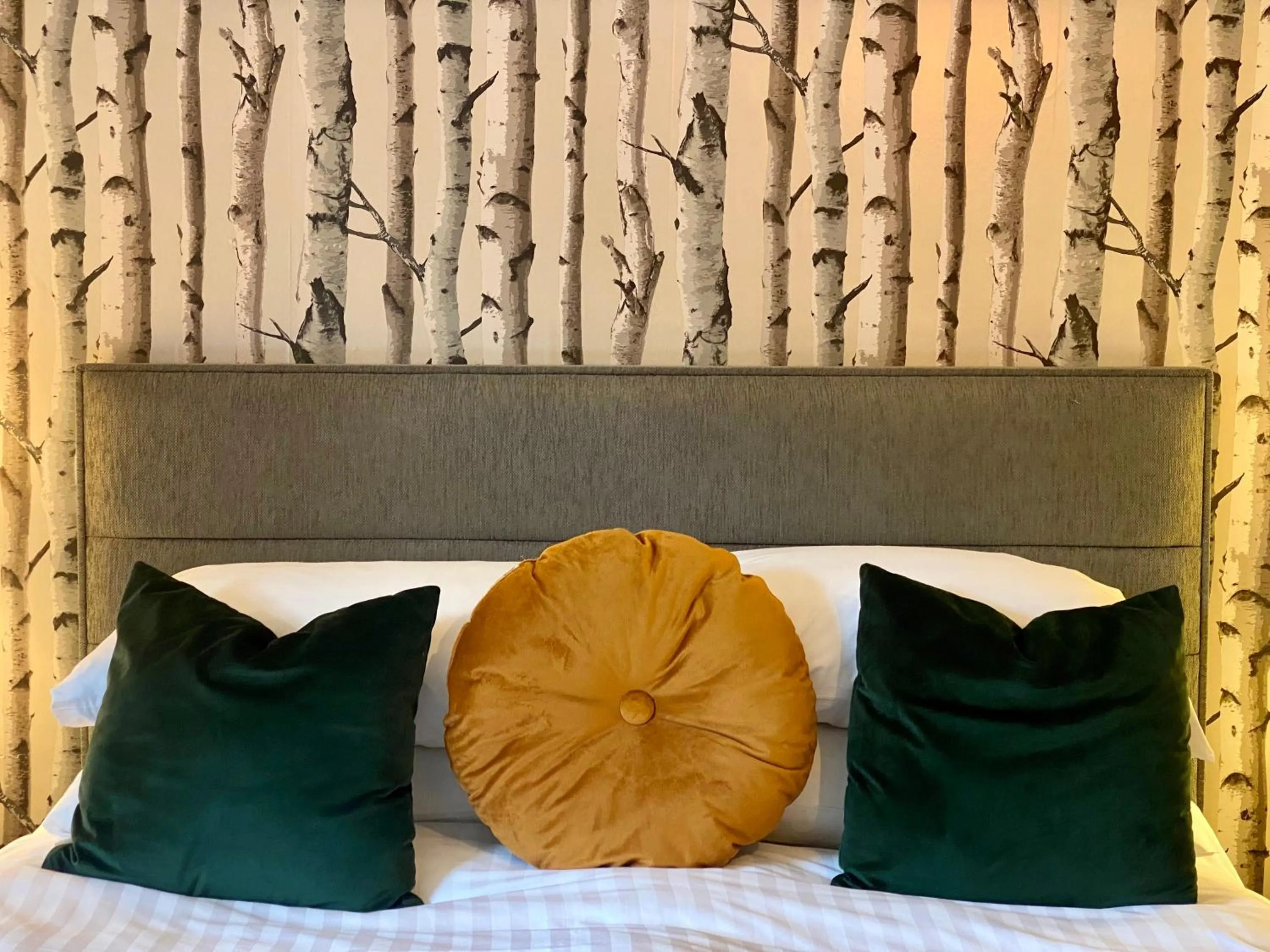 Bed in Barriemore Oban