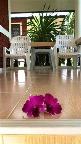 Balcony/Terrace in Baan Rom Mai Resort