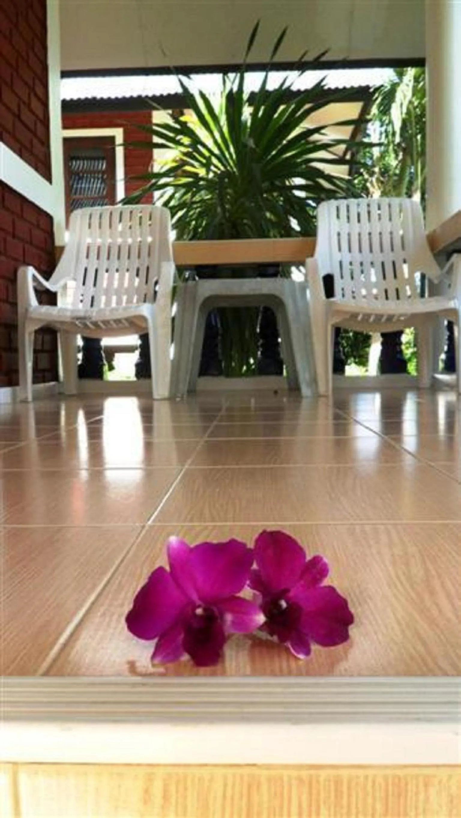 Balcony/Terrace in Baan Rom Mai Resort