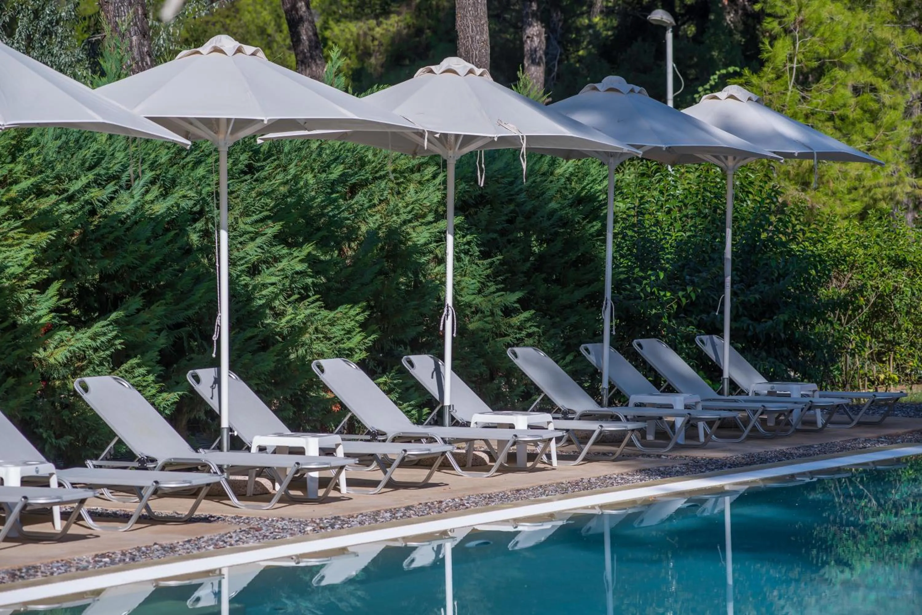 Swimming pool in Club Agia Anna