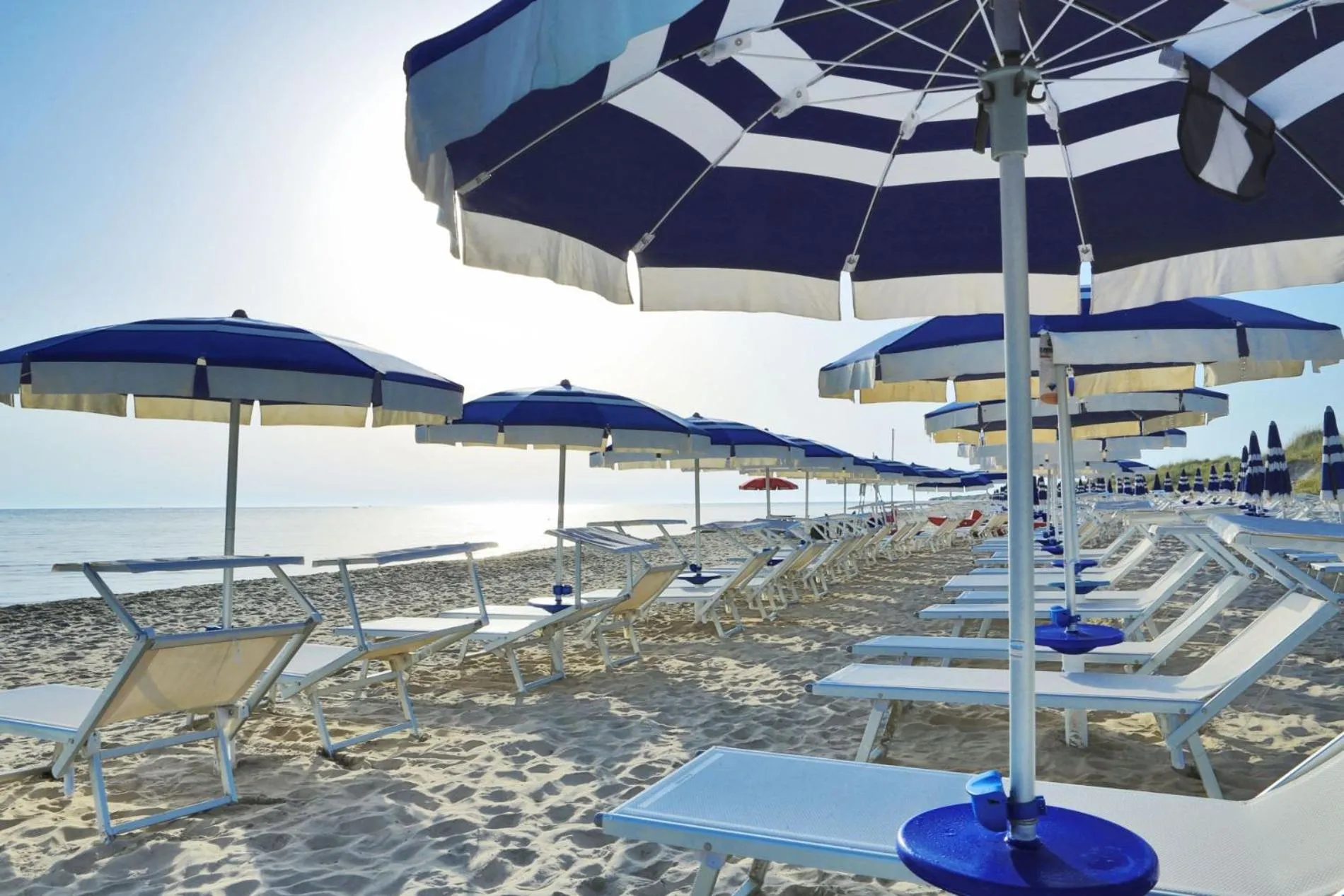 Beach in Futura Club Torre Rinalda