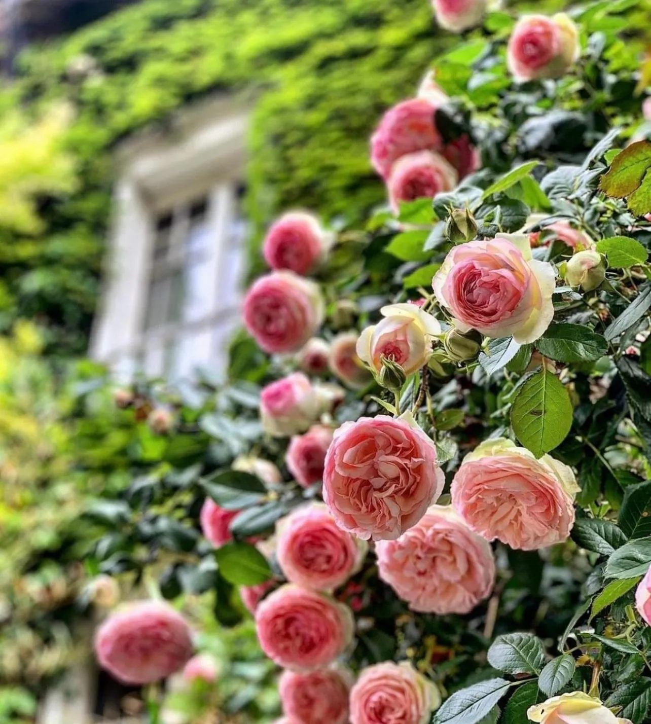 Property building in B&B dei Papi Boutique Hotel