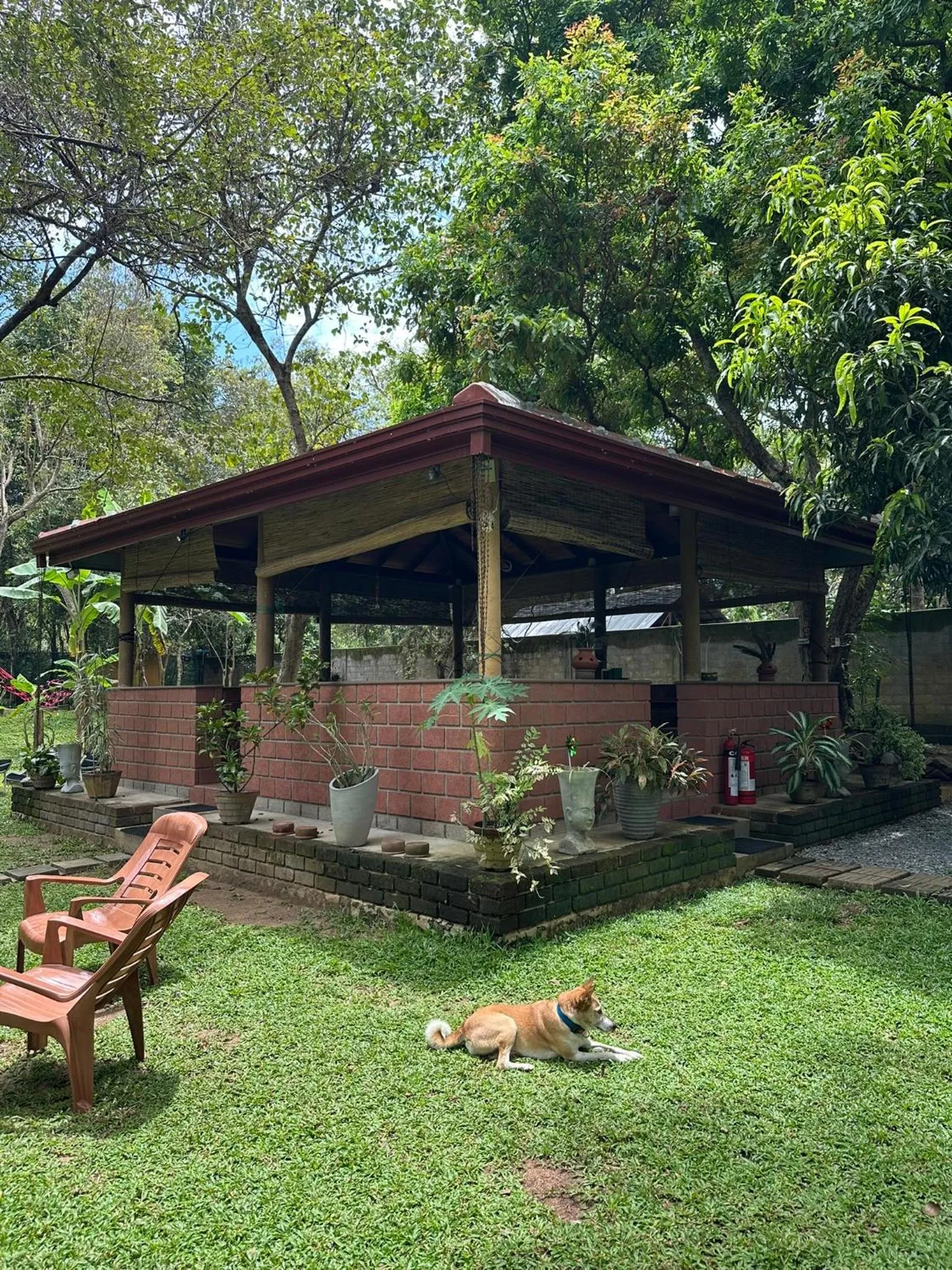 Restaurant/places to eat in Sat Nam Village Hotel