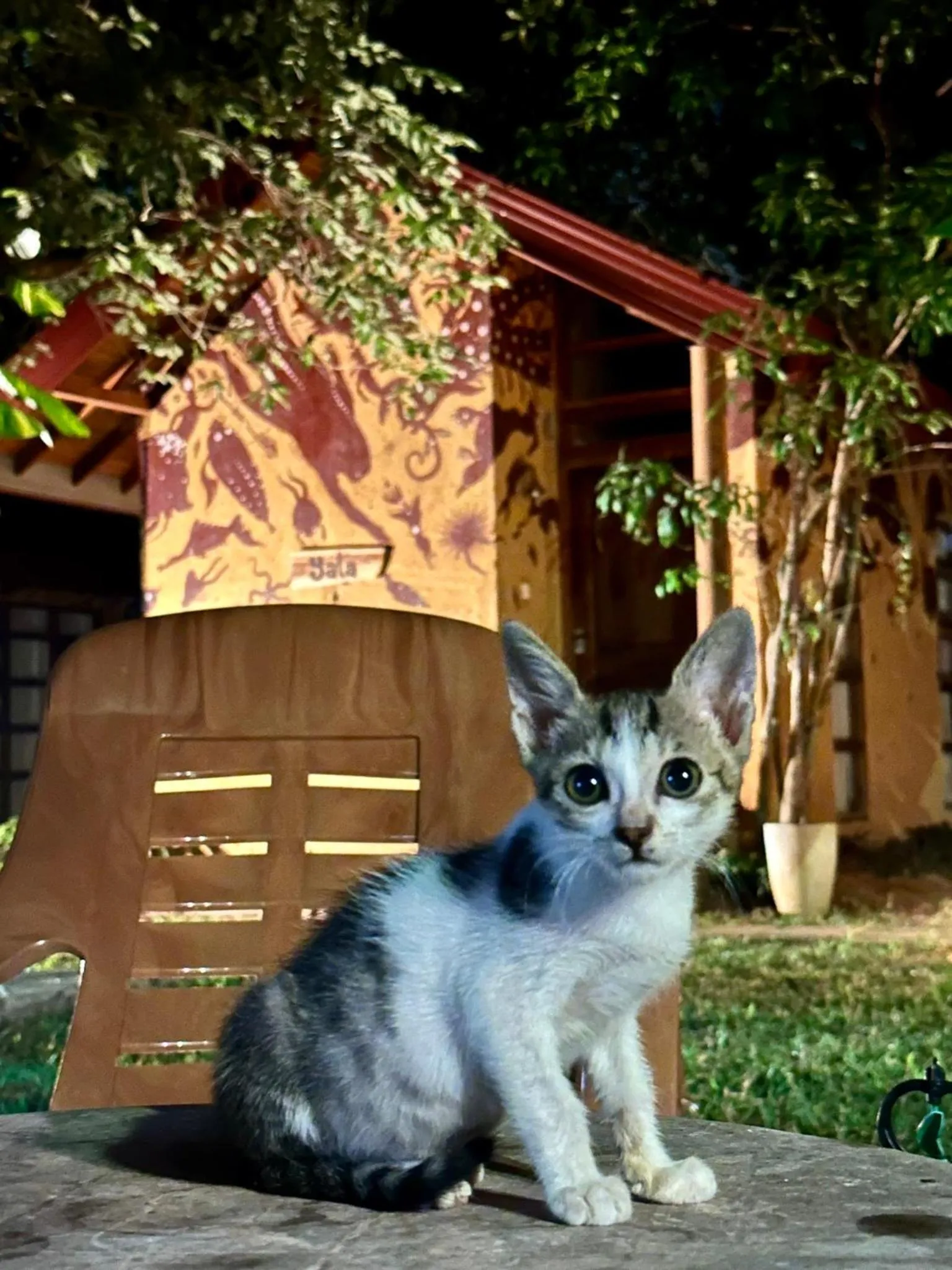 Sat Nam Village Hotel